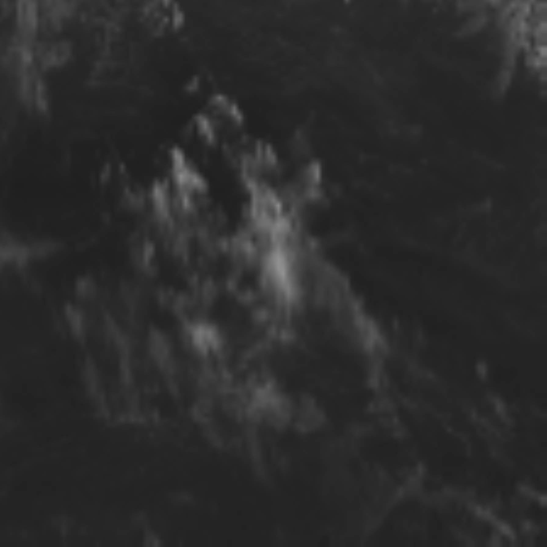 satLayer