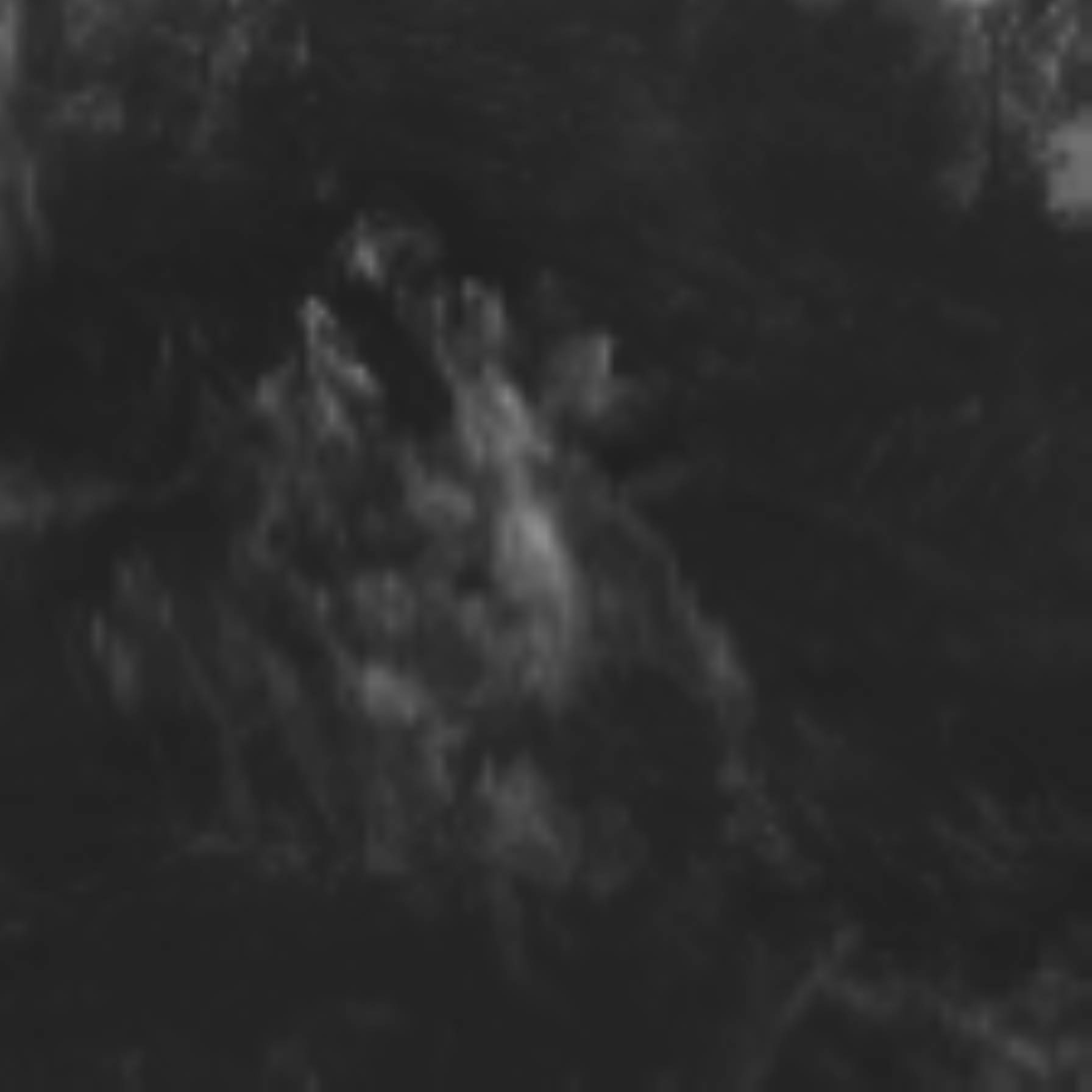 satLayer