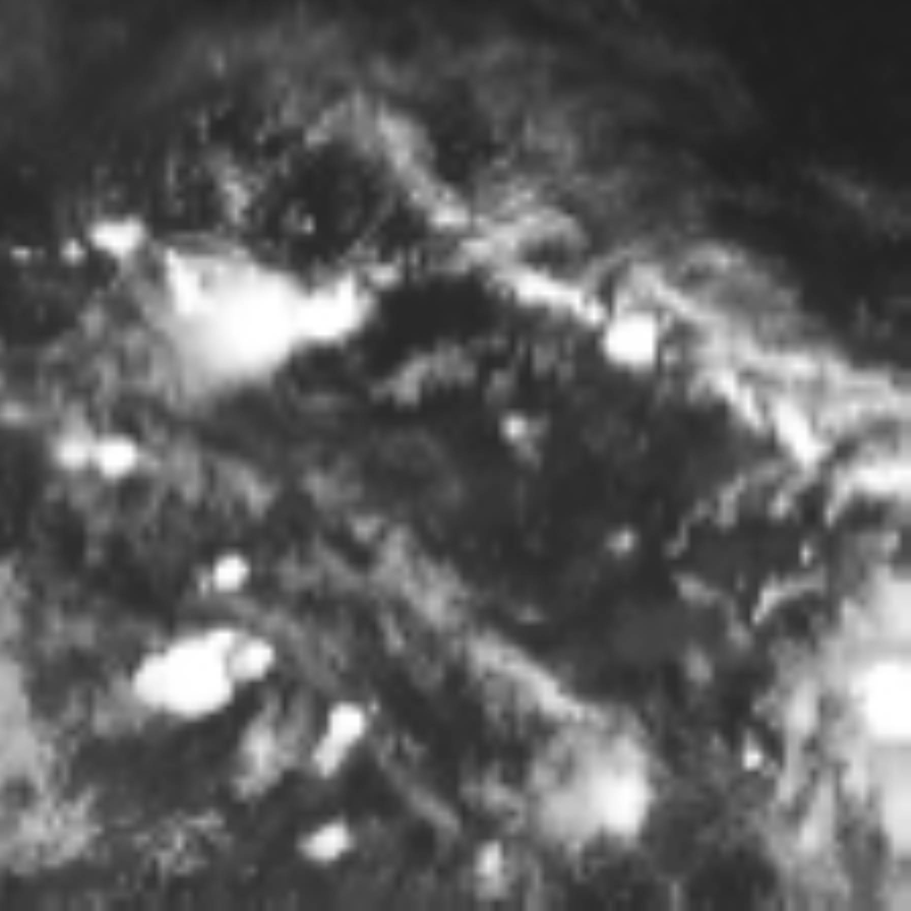 satLayer