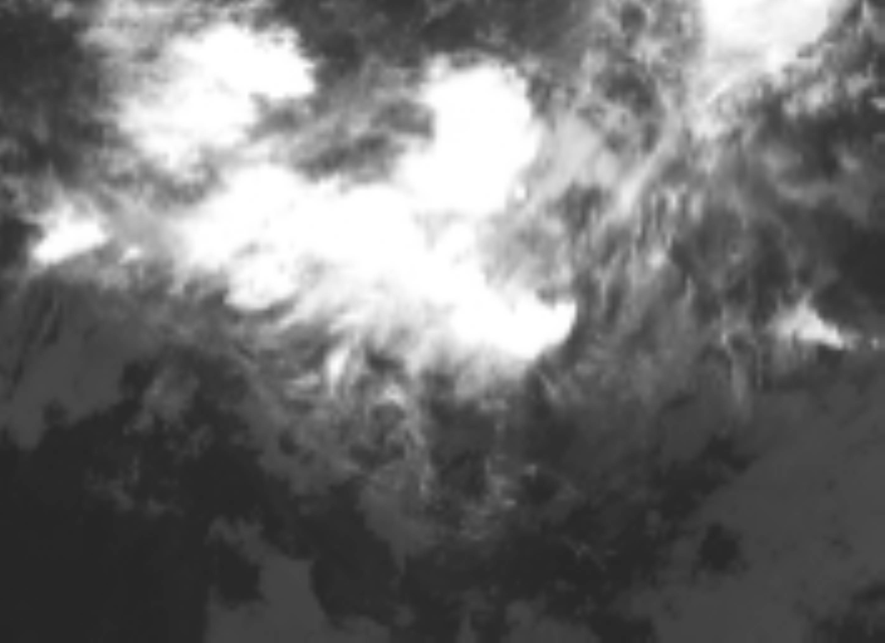 satLayer