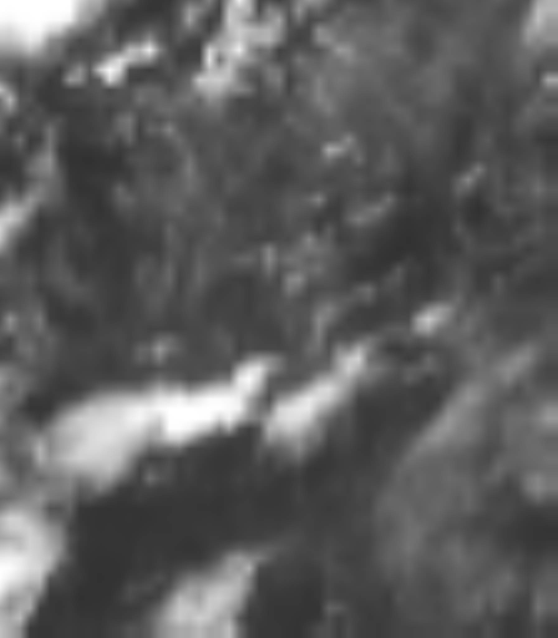 satLayer