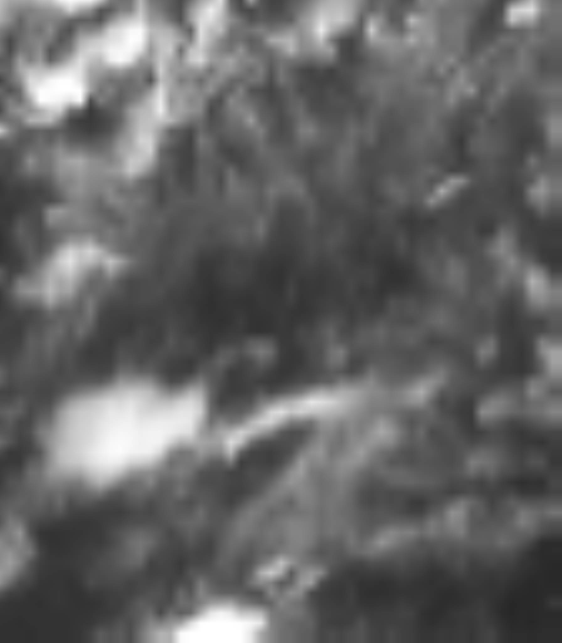 satLayer