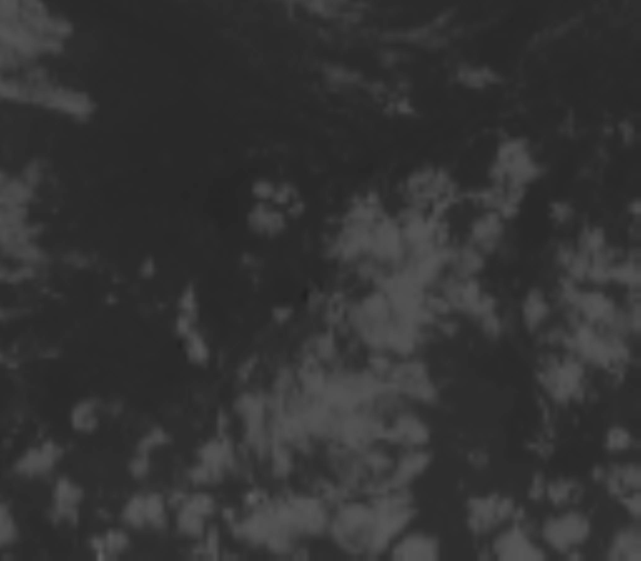 satLayer