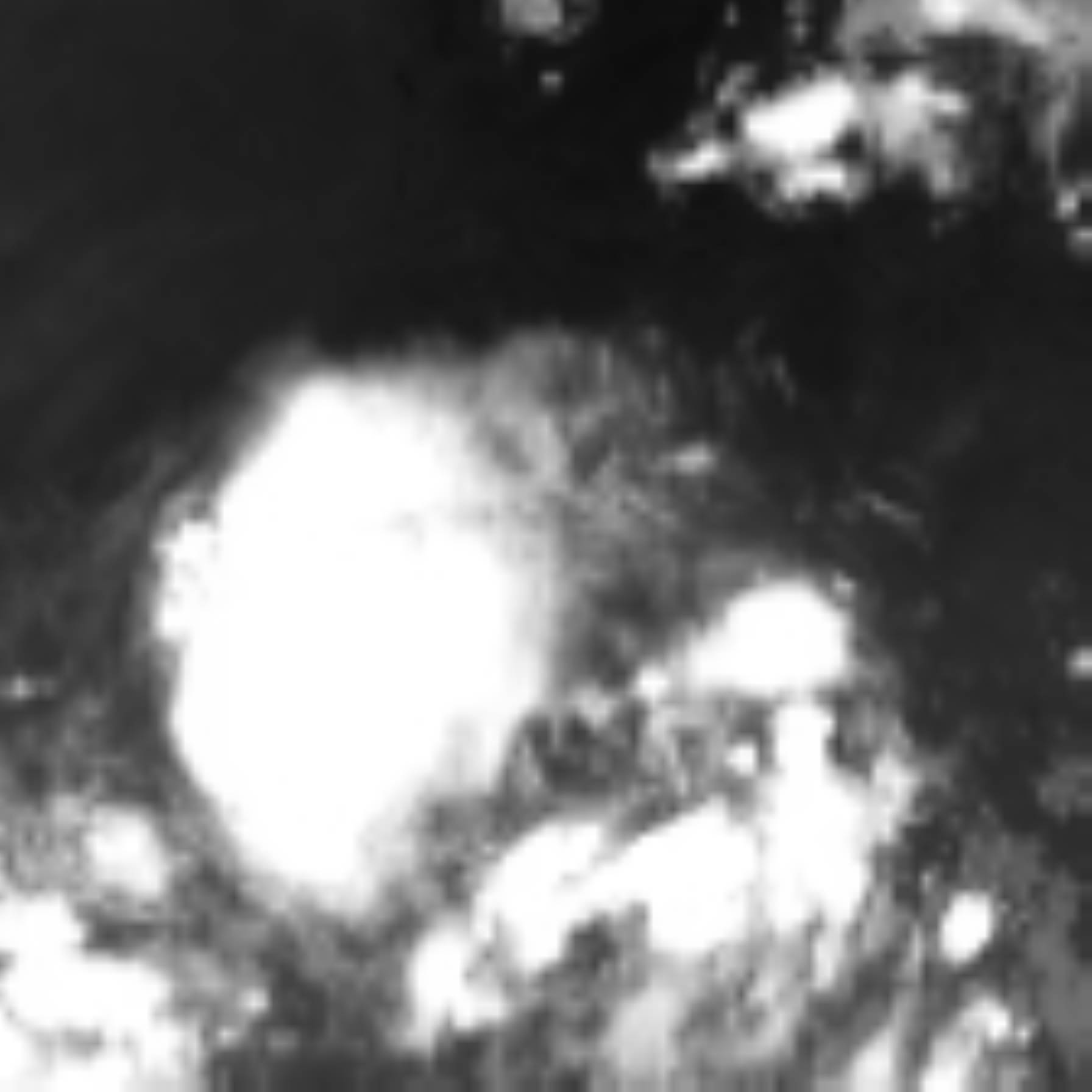 satLayer