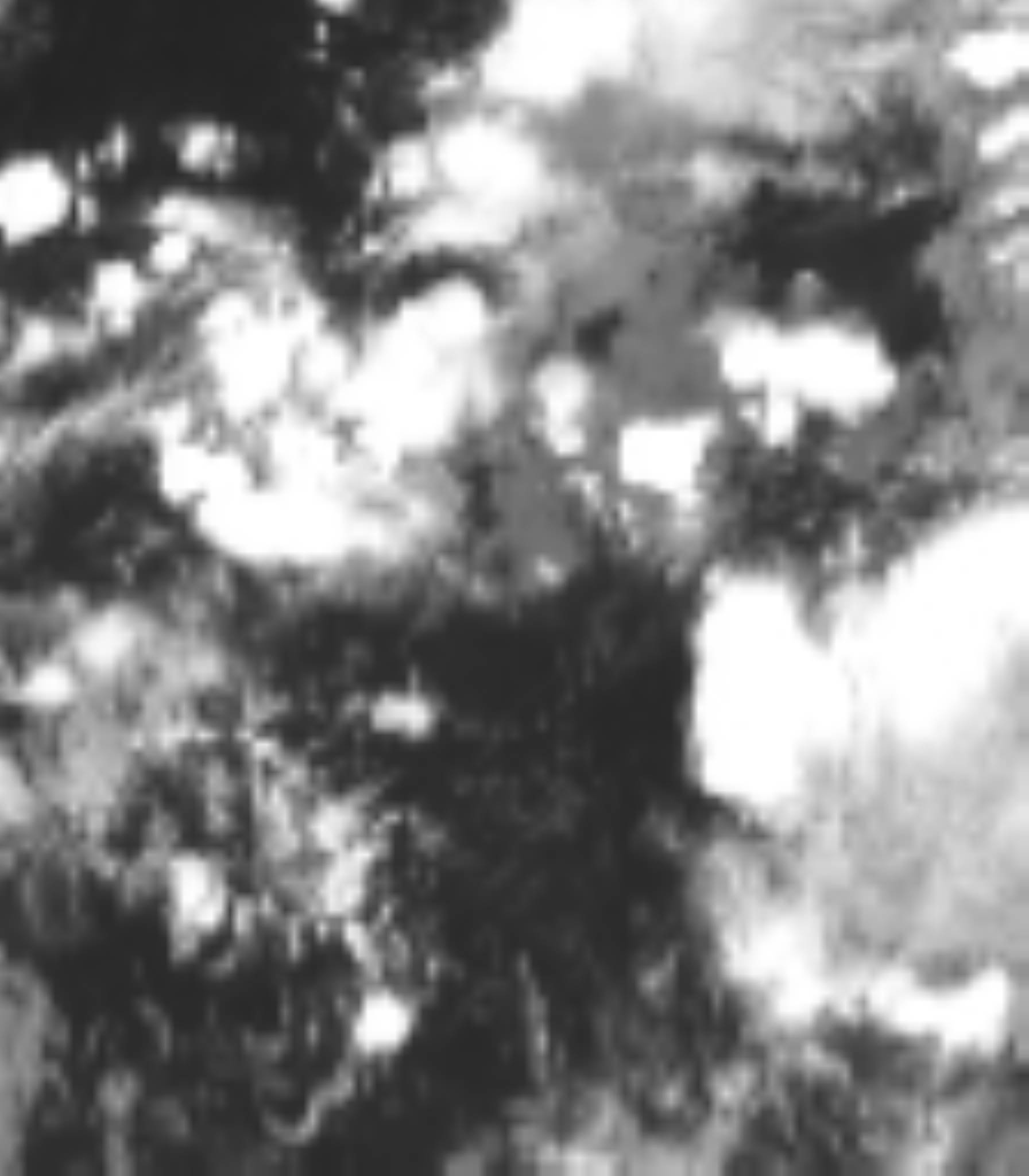 satLayer