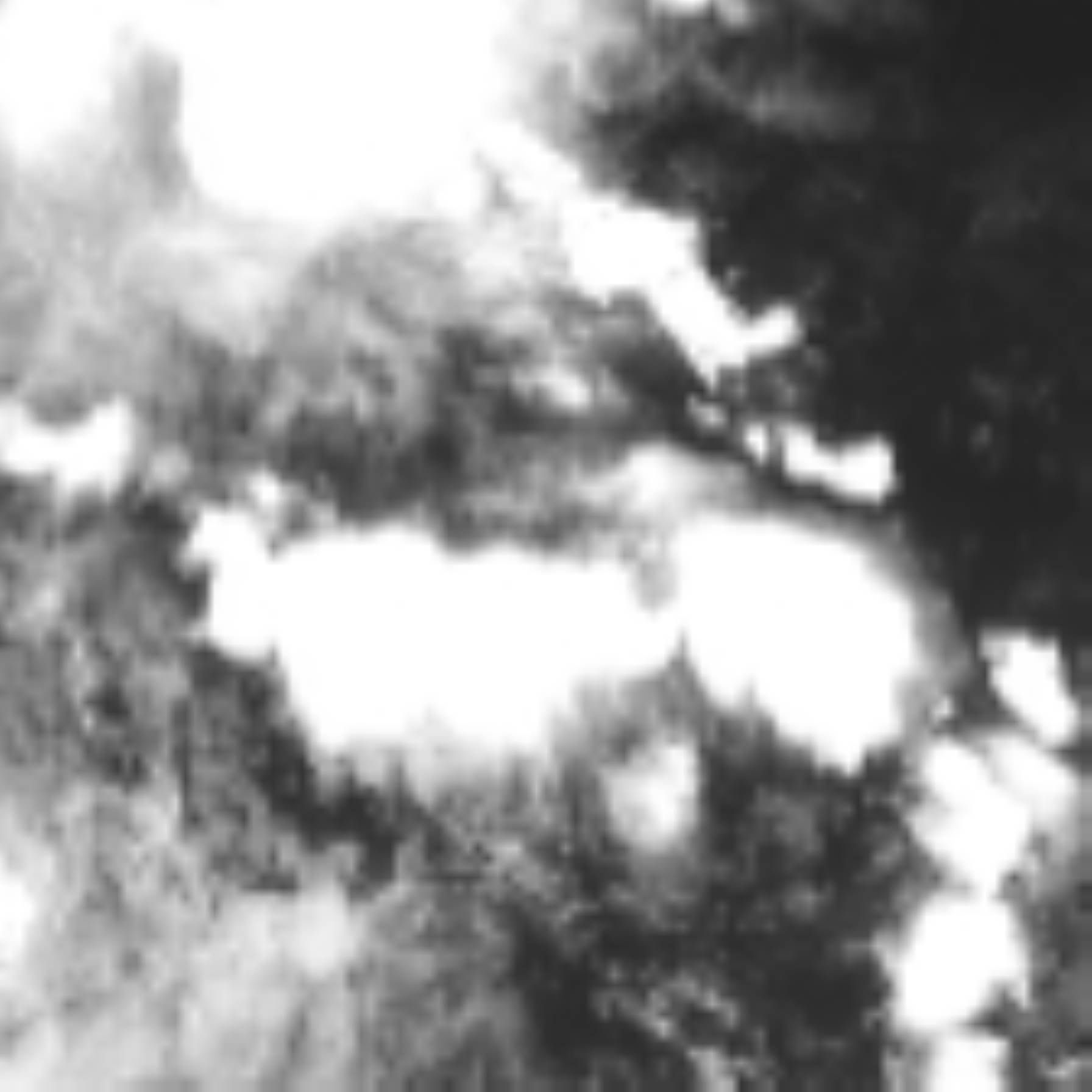 satLayer