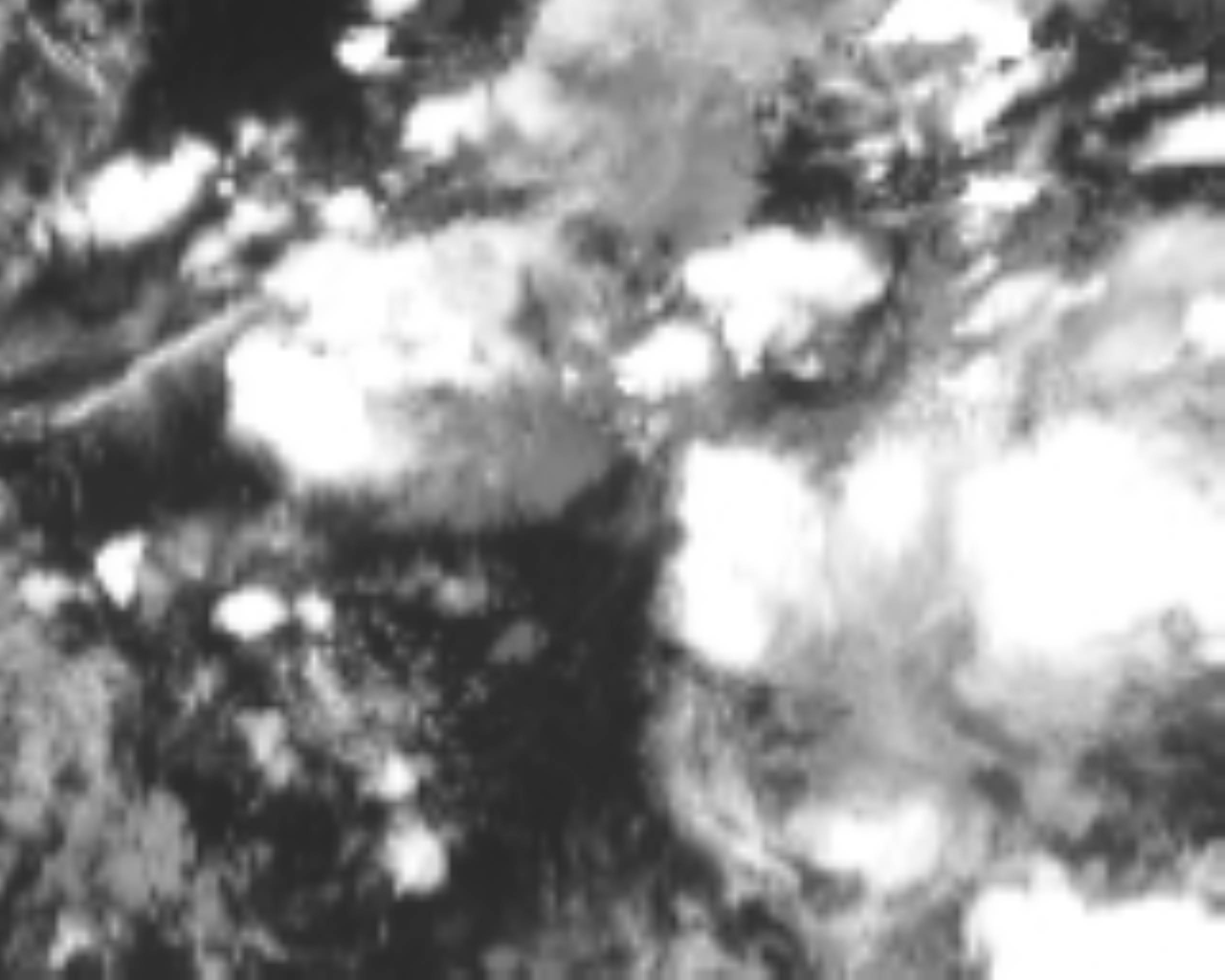 satLayer