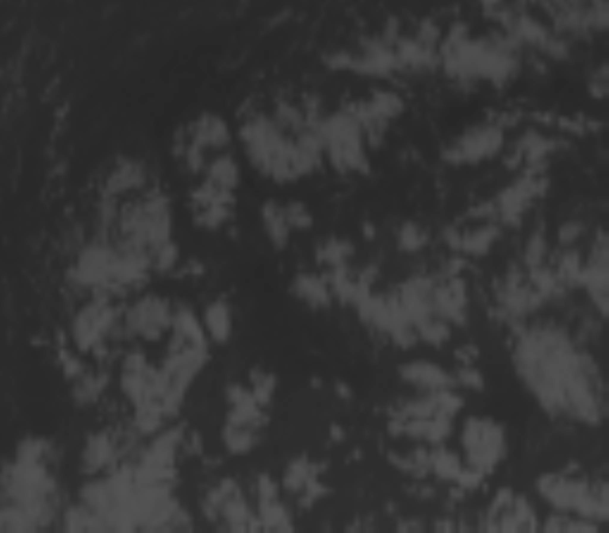 satLayer