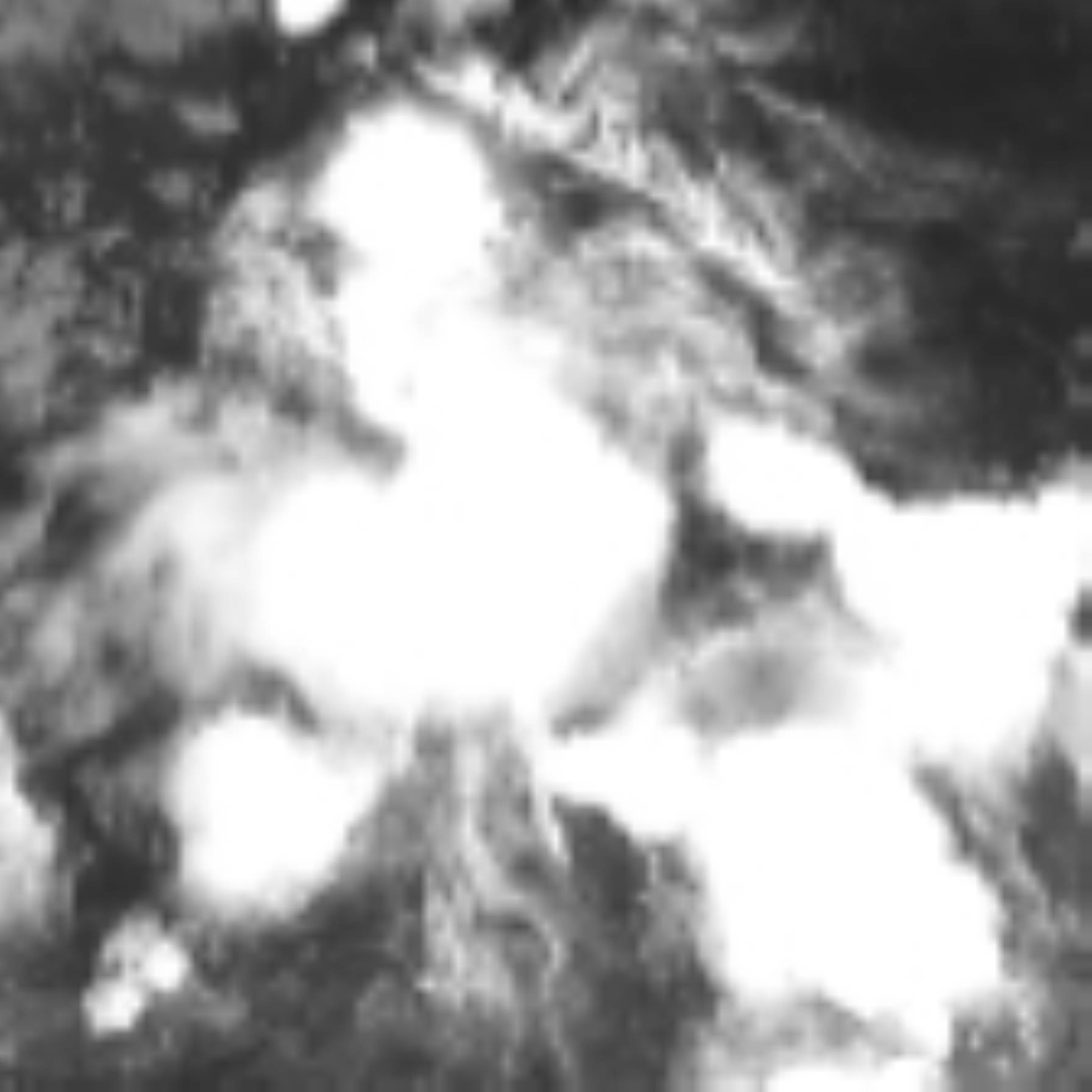 satLayer