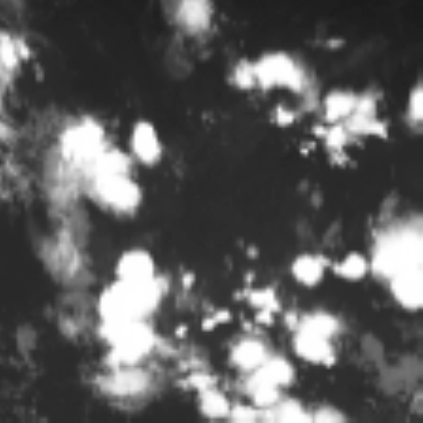 satLayer