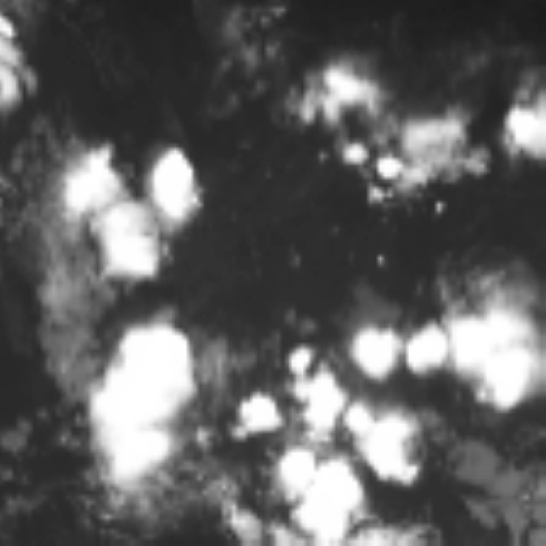 satLayer
