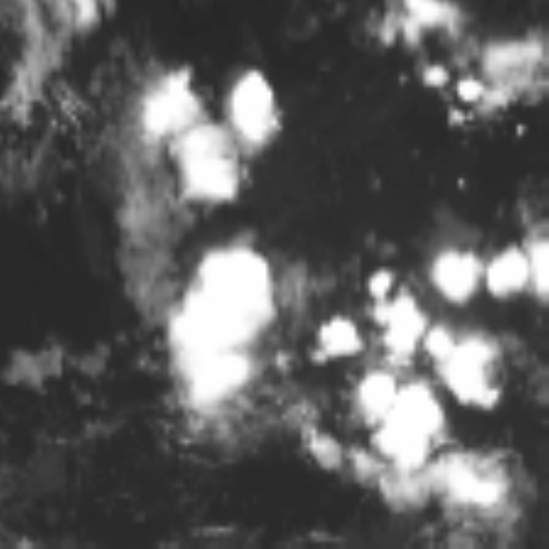 satLayer