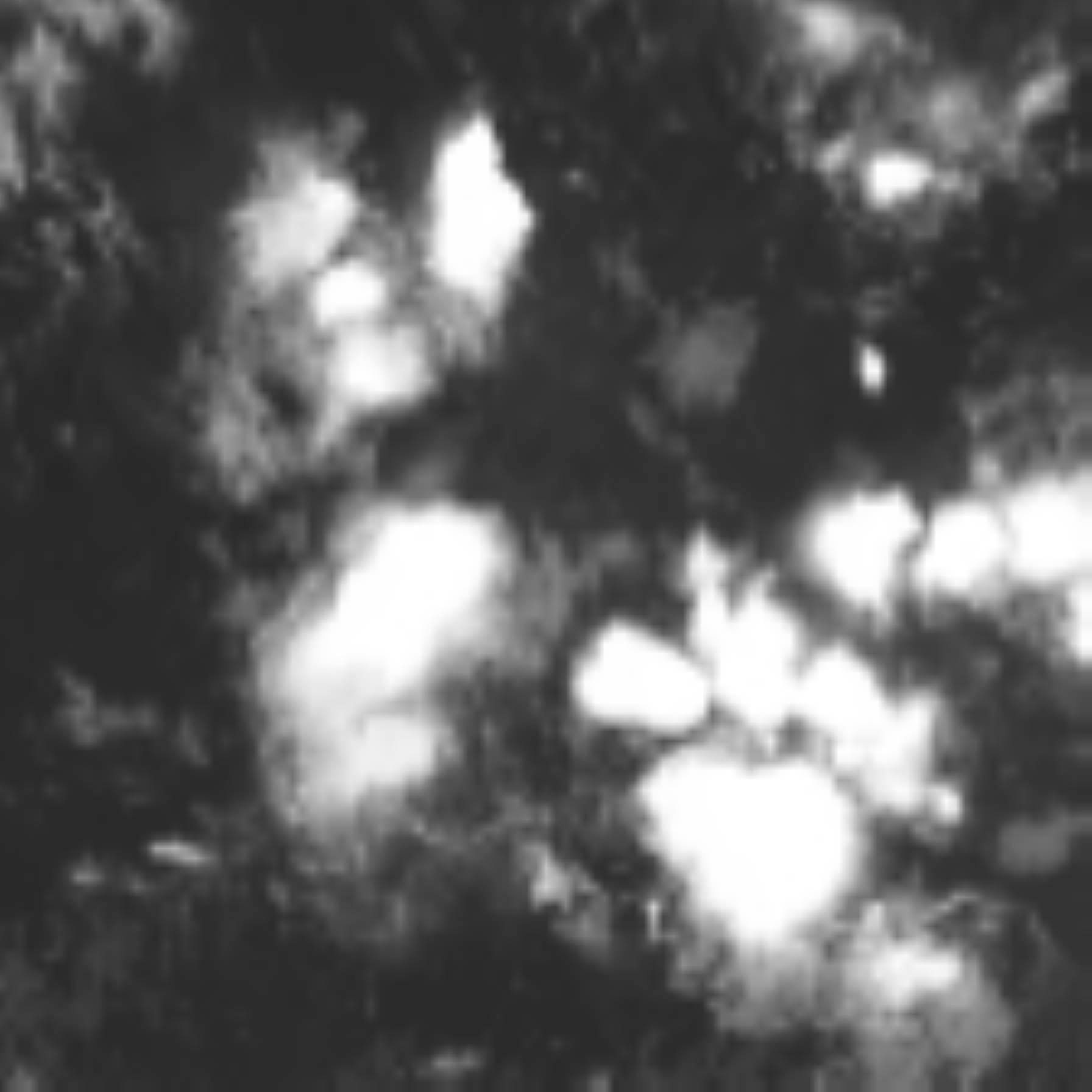 satLayer