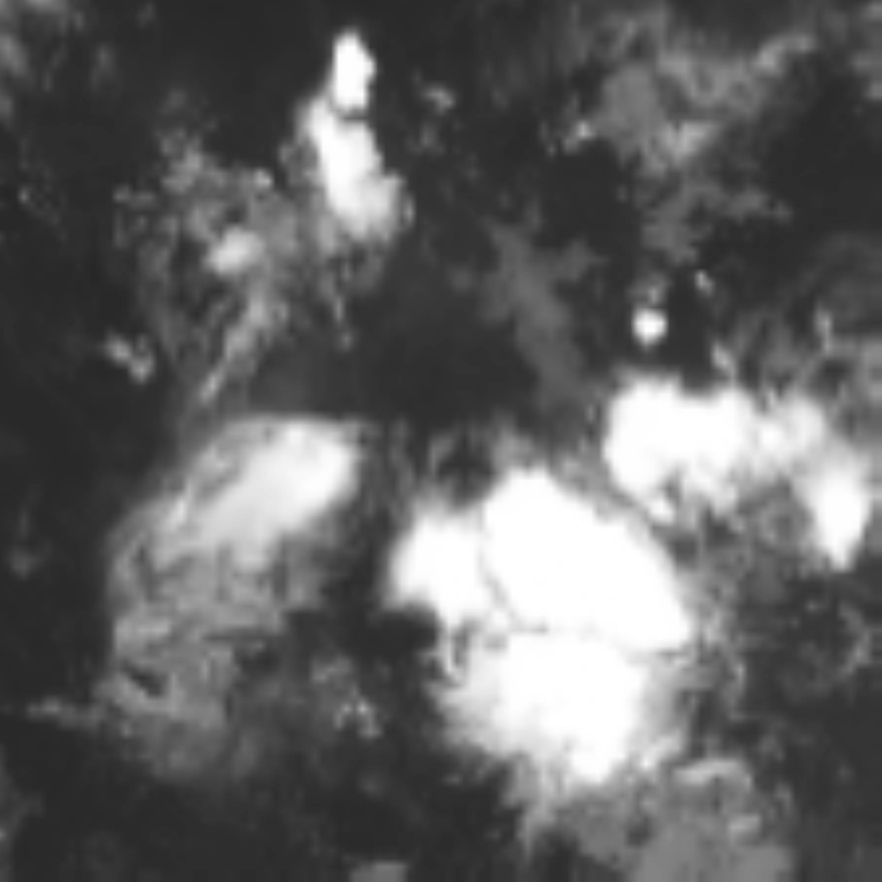 satLayer