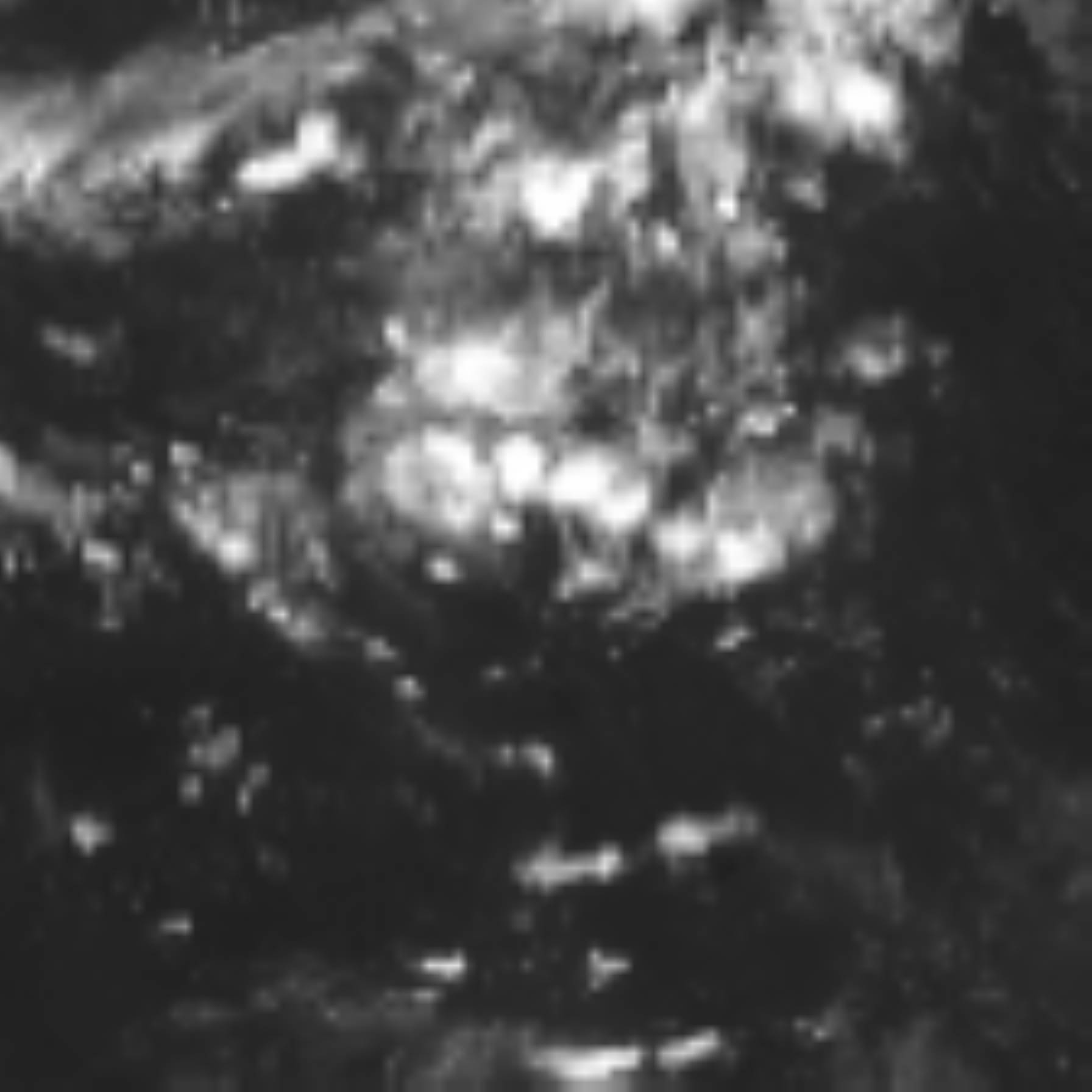satLayer