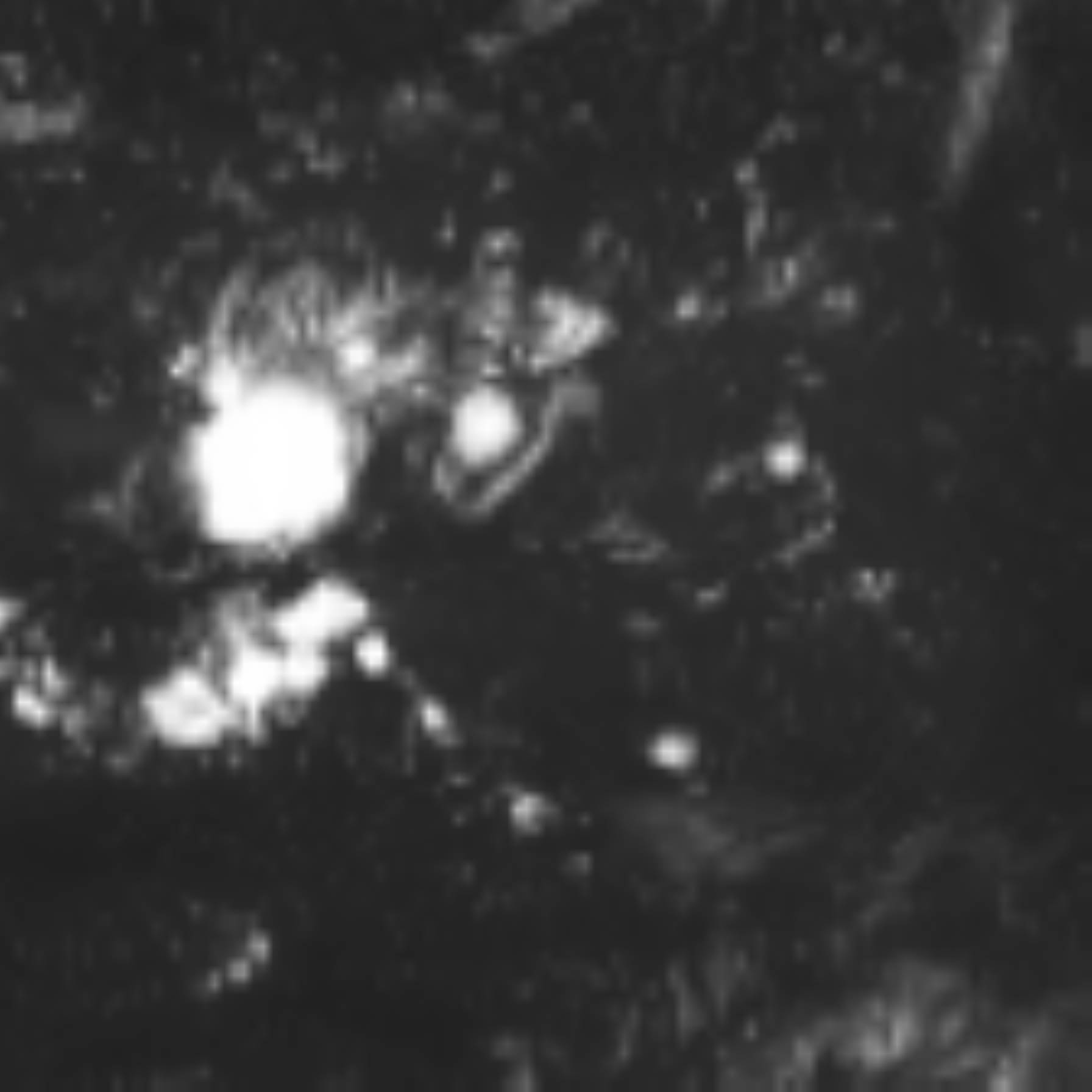 satLayer