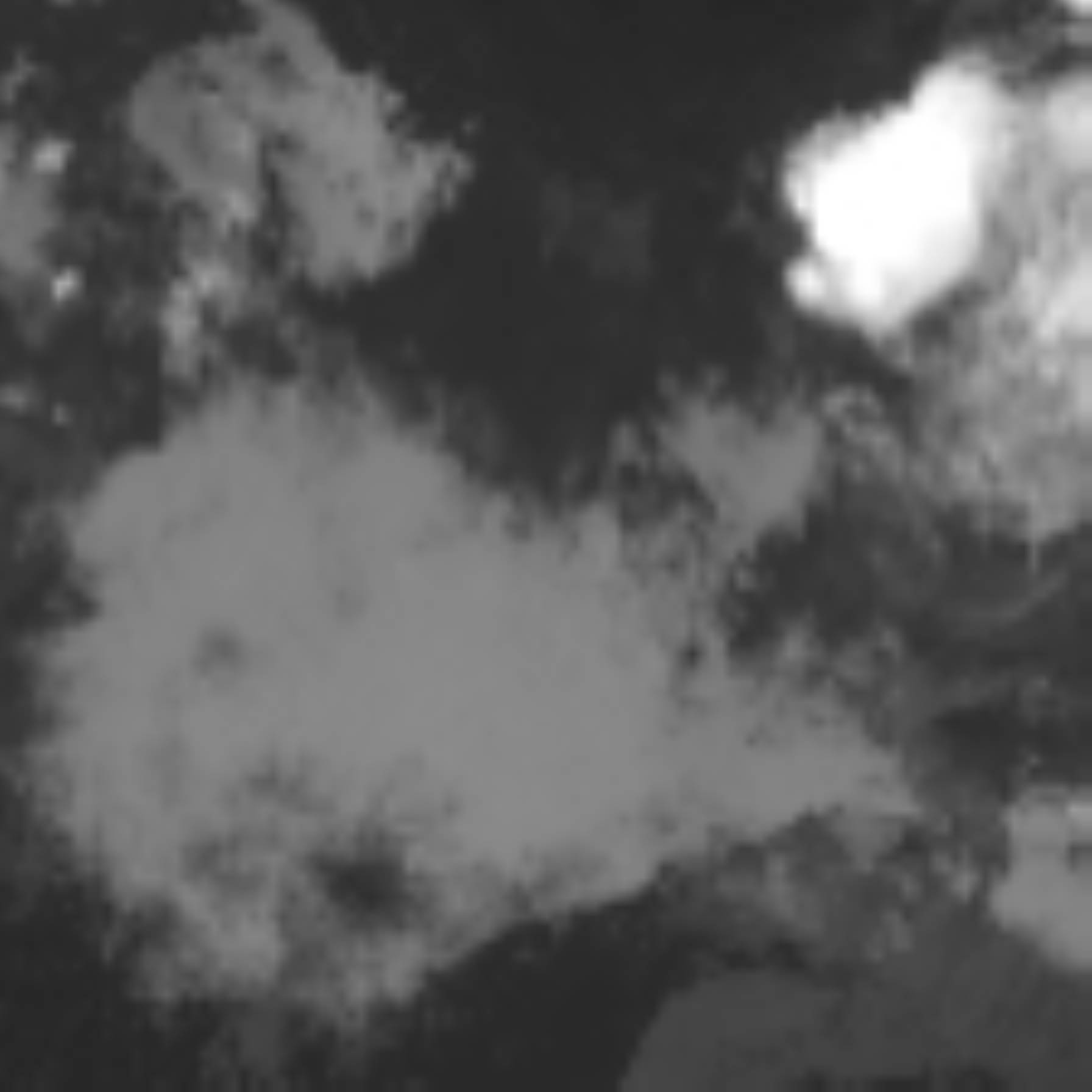 satLayer