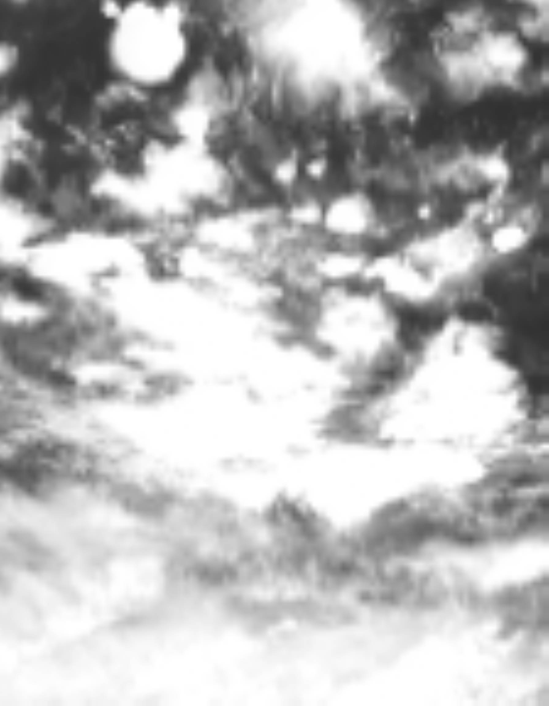 satLayer