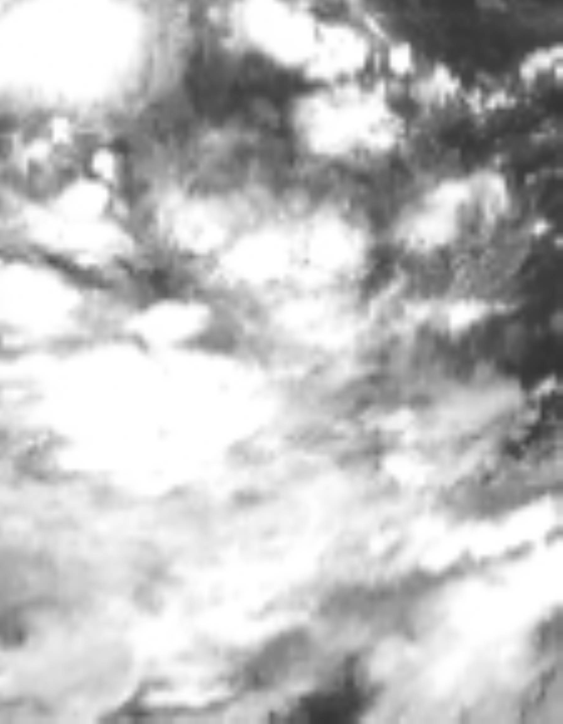 satLayer