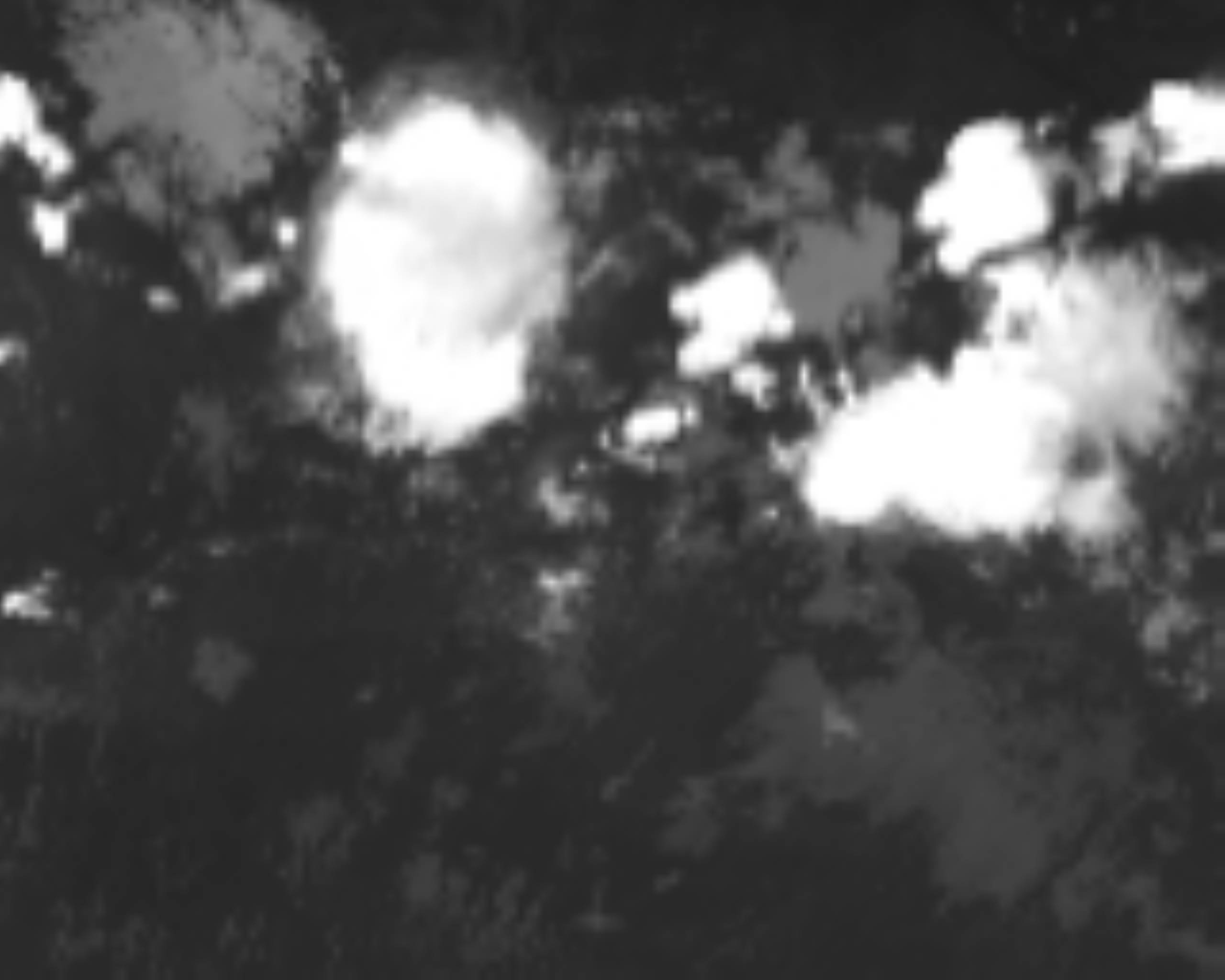 satLayer
