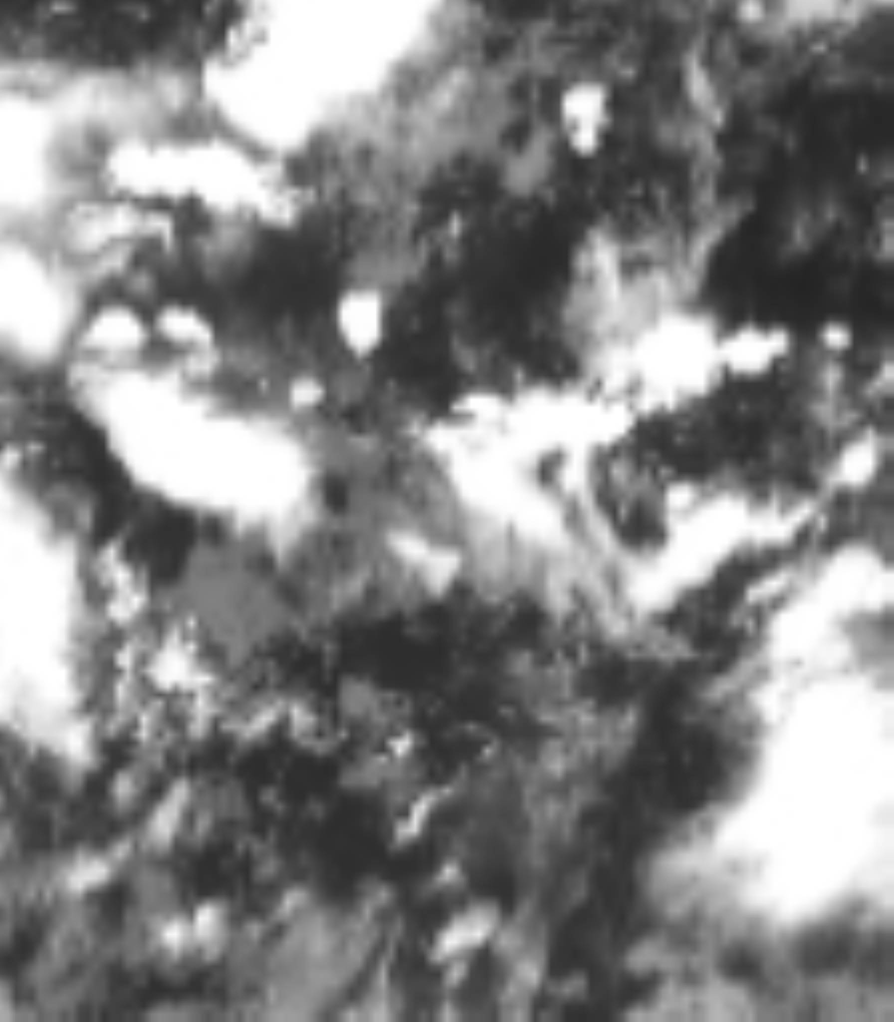 satLayer