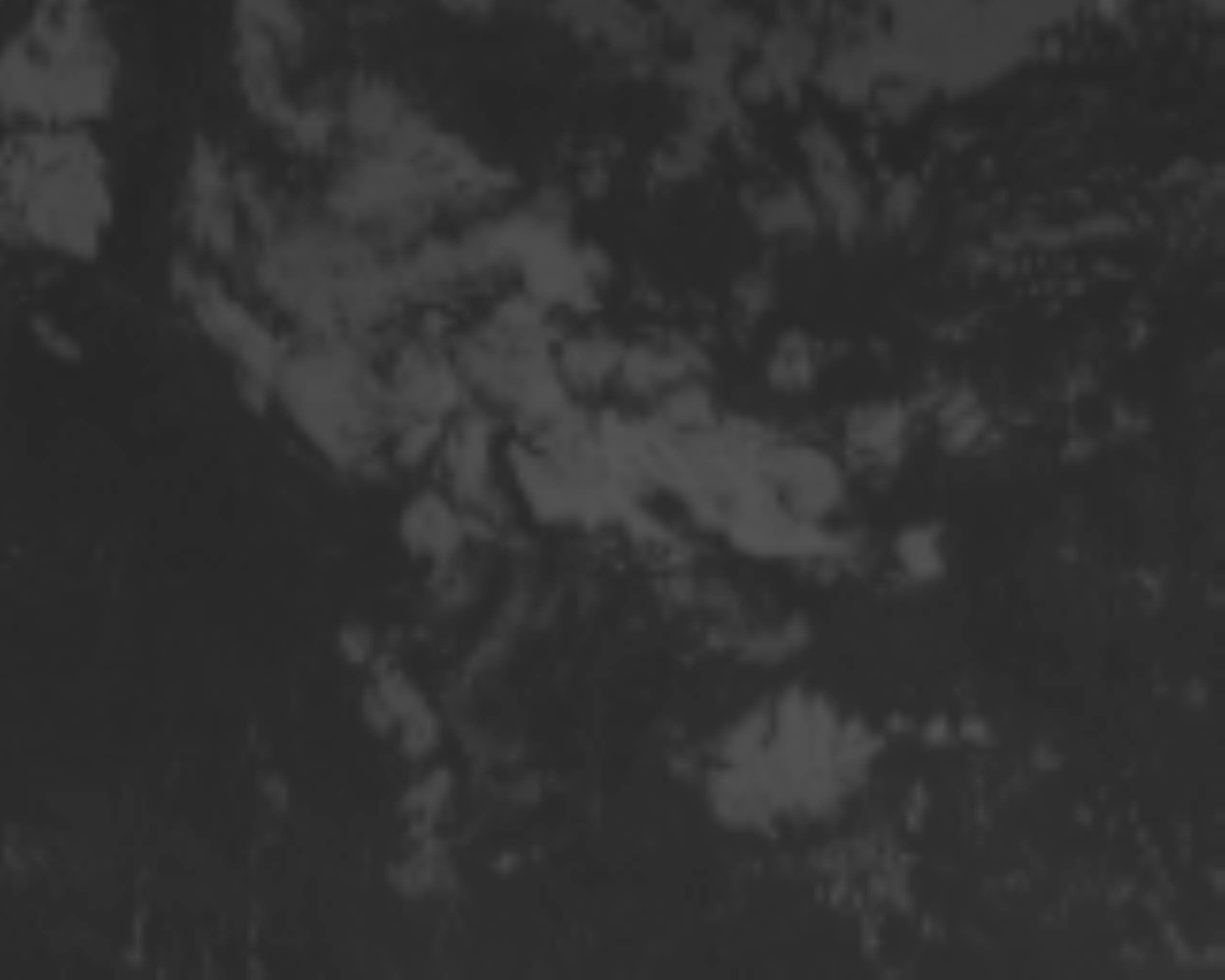 satLayer