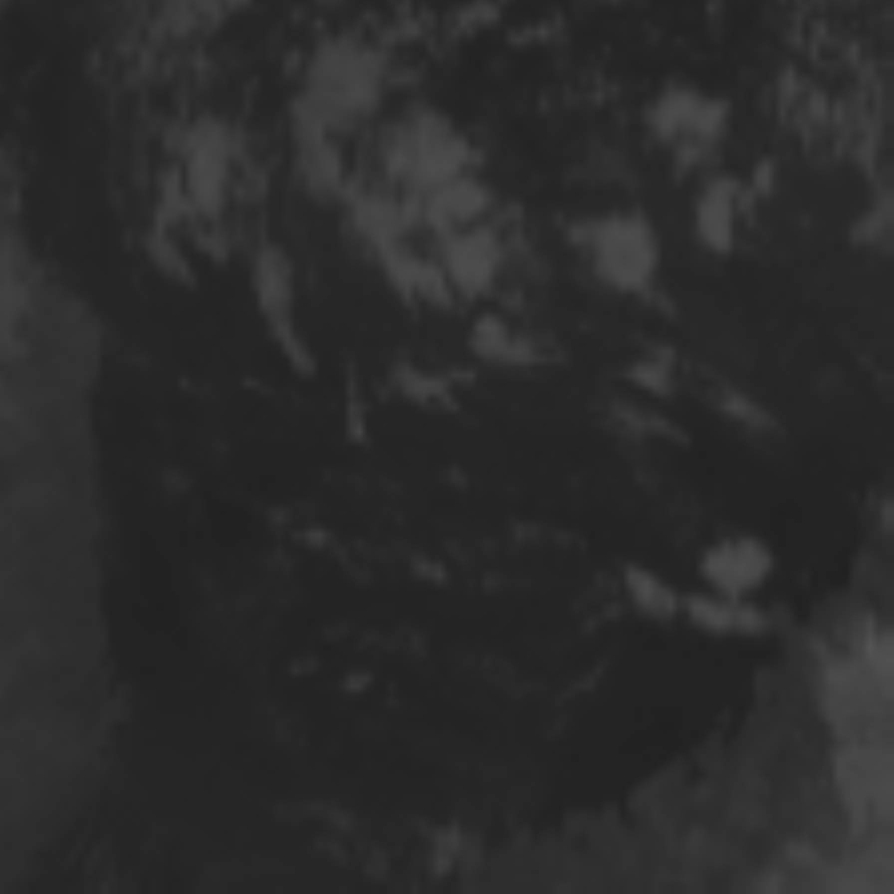 satLayer