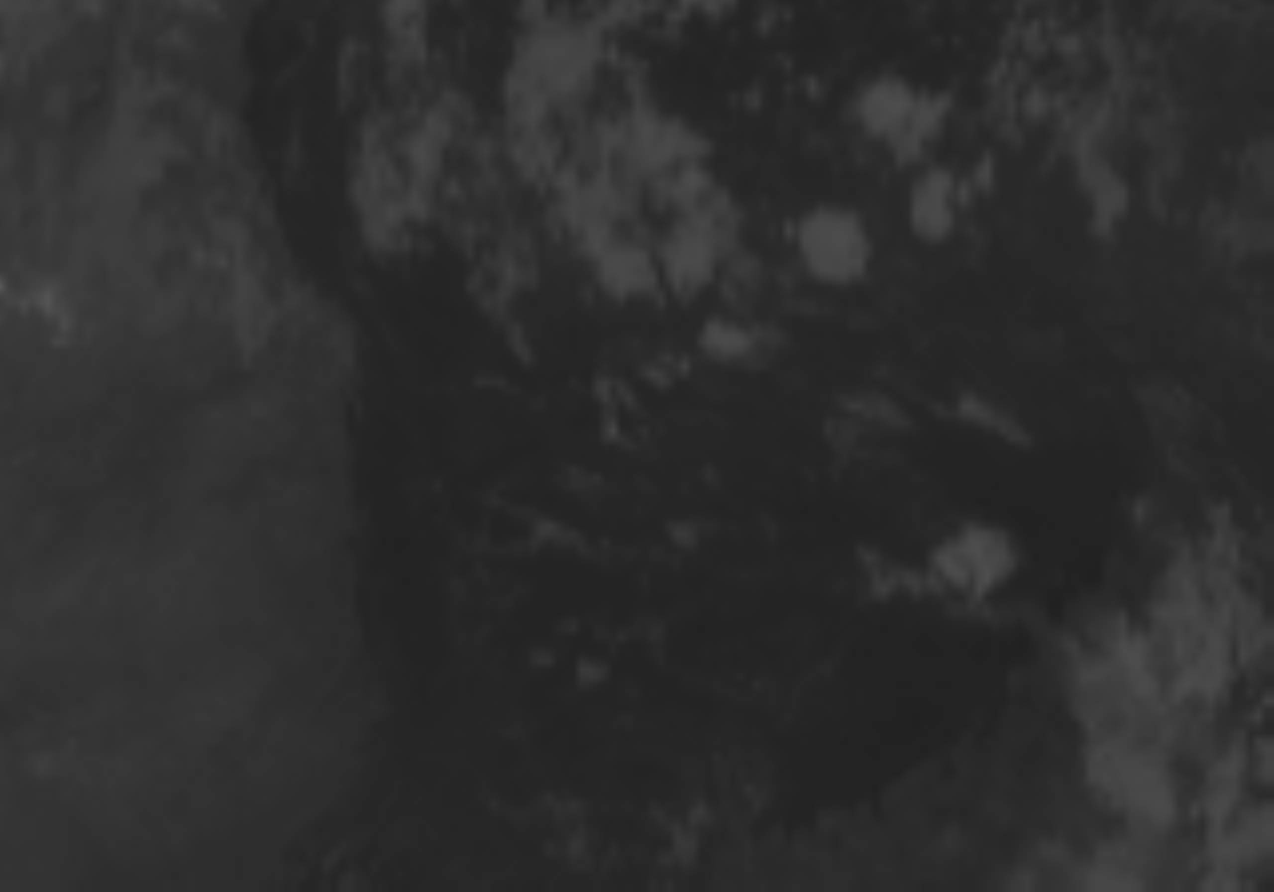 satLayer