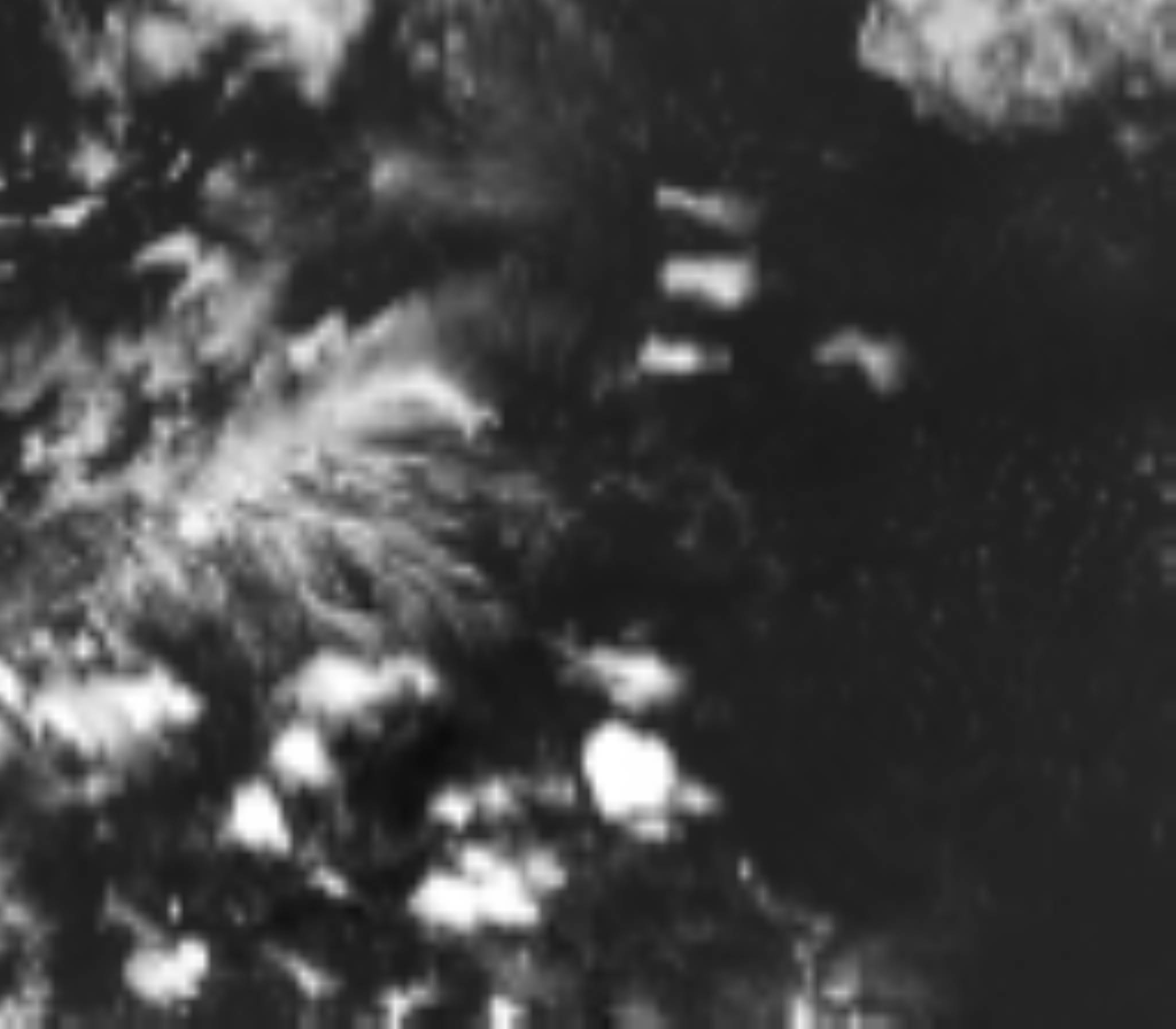 satLayer