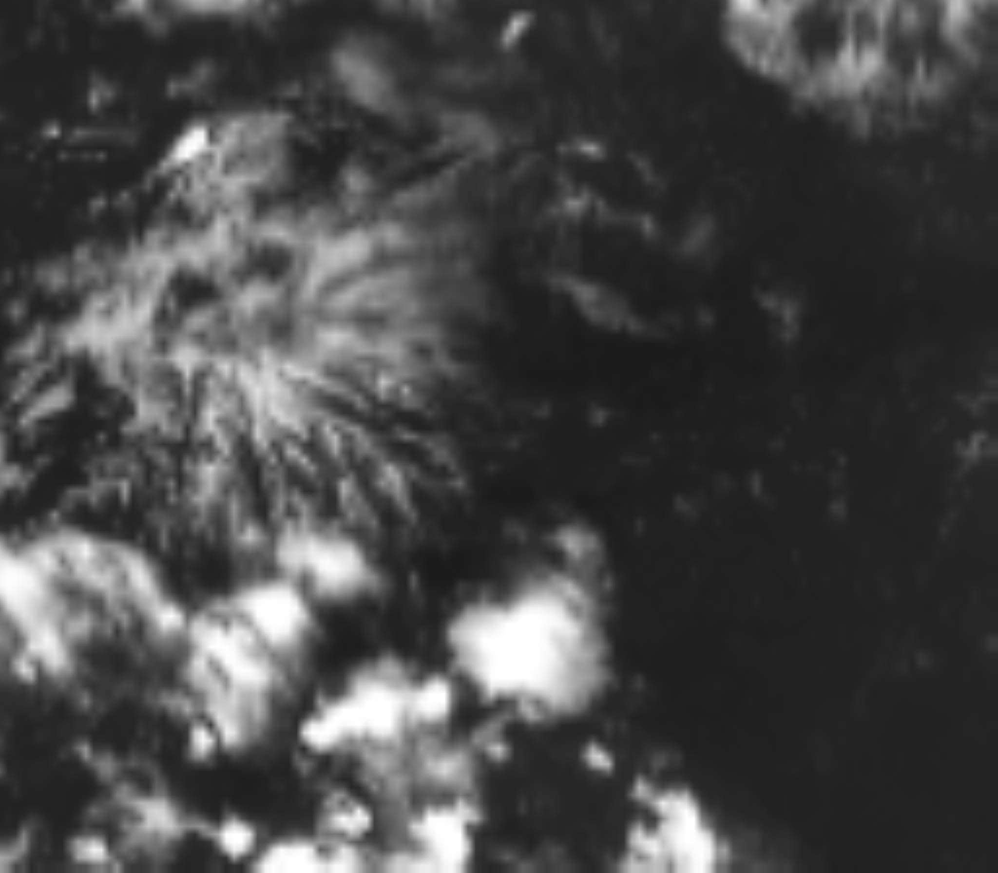 satLayer