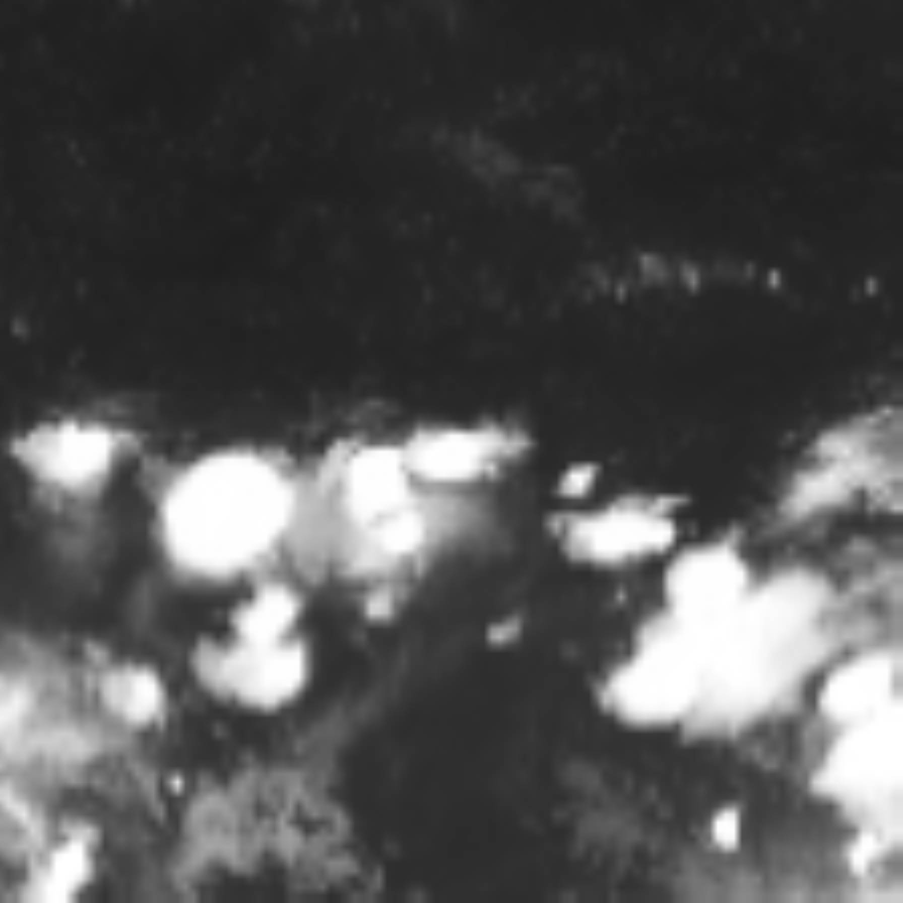 satLayer