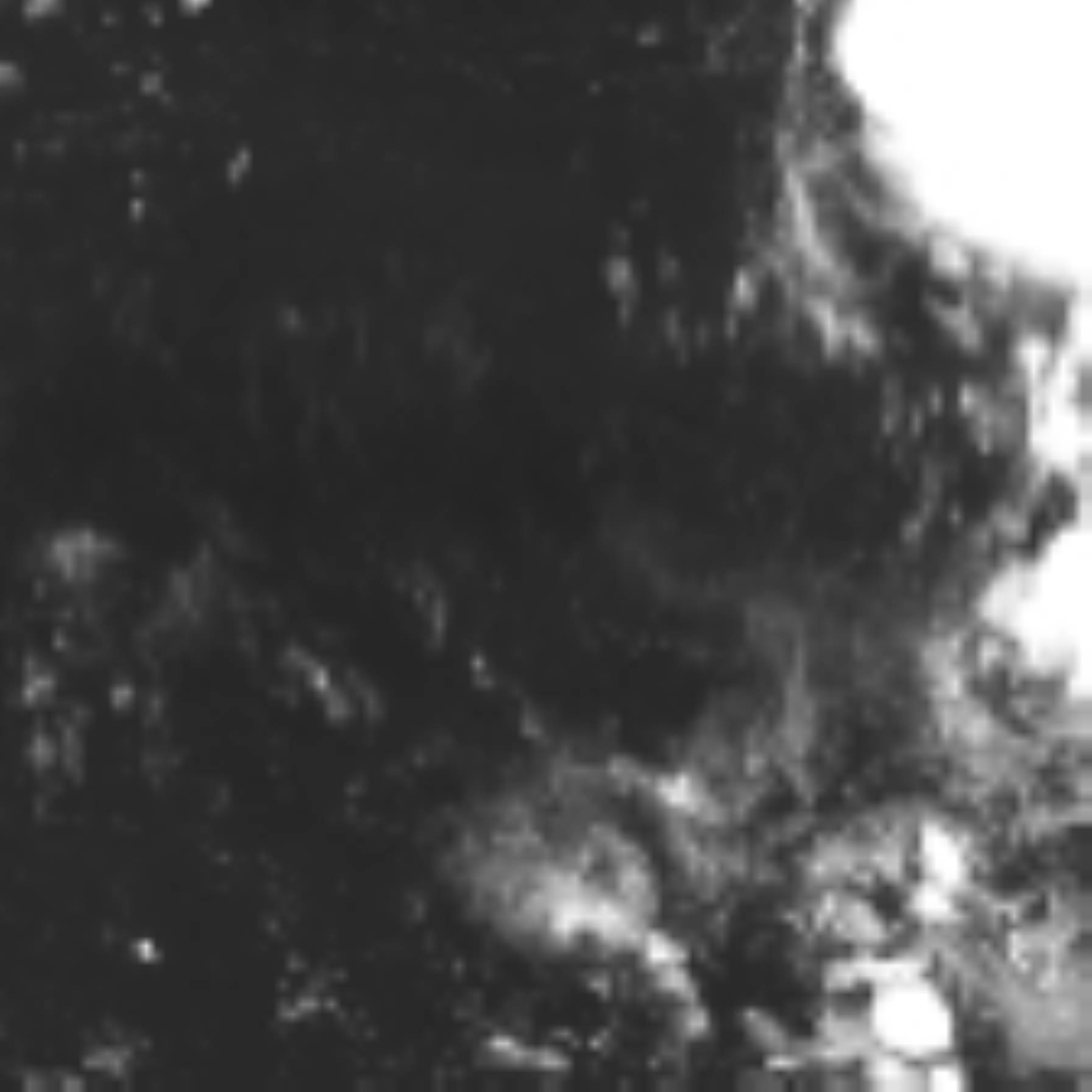 satLayer