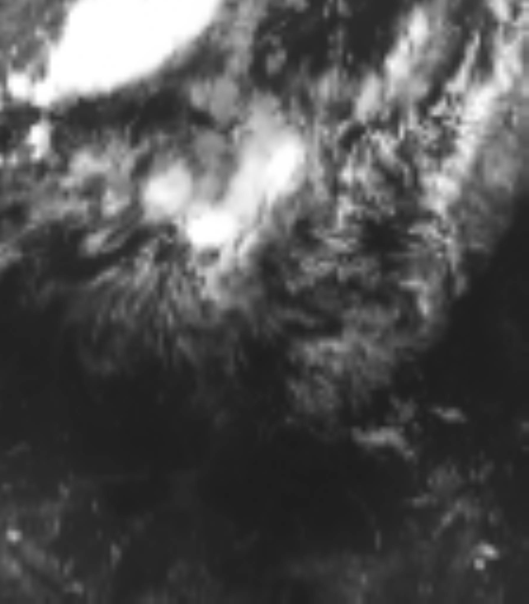 satLayer