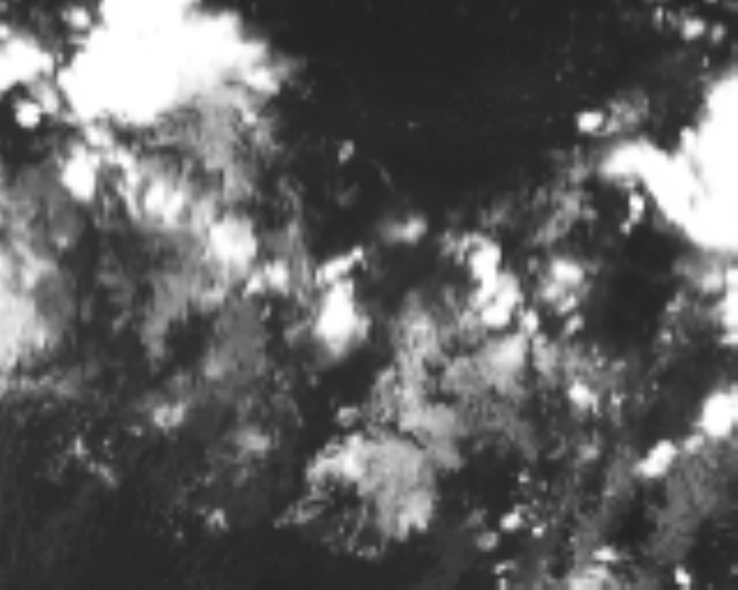 satLayer