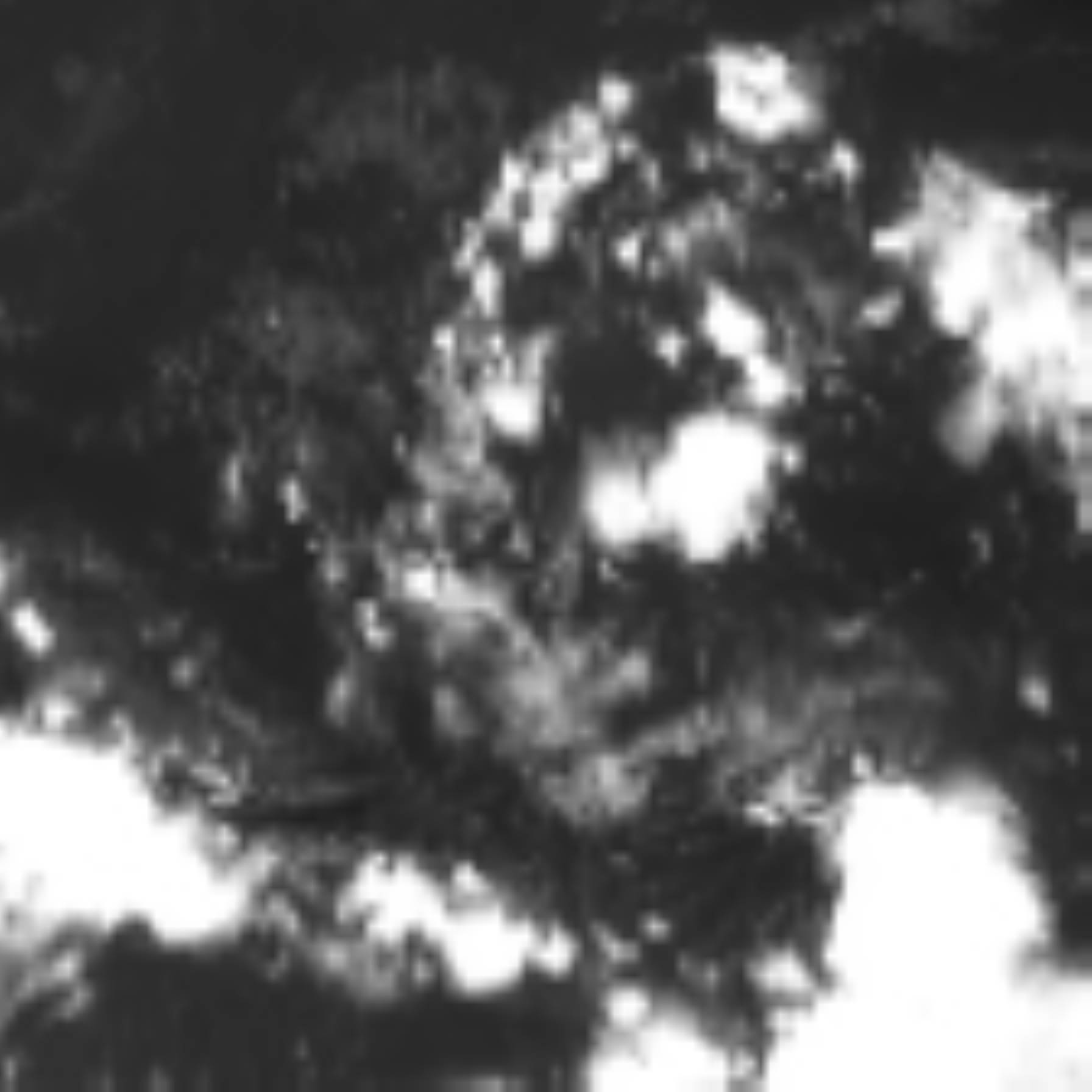 satLayer