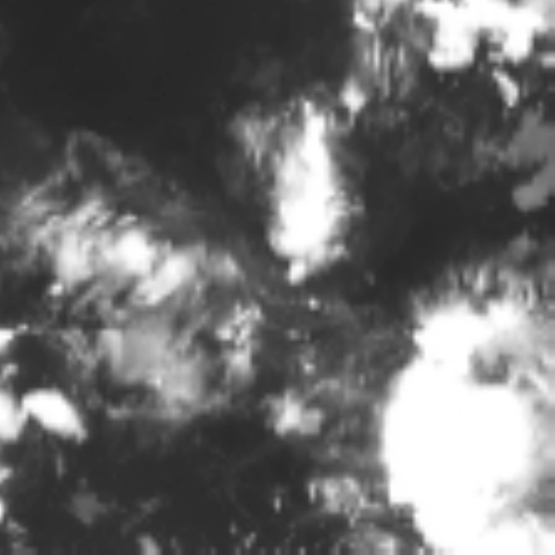 satLayer