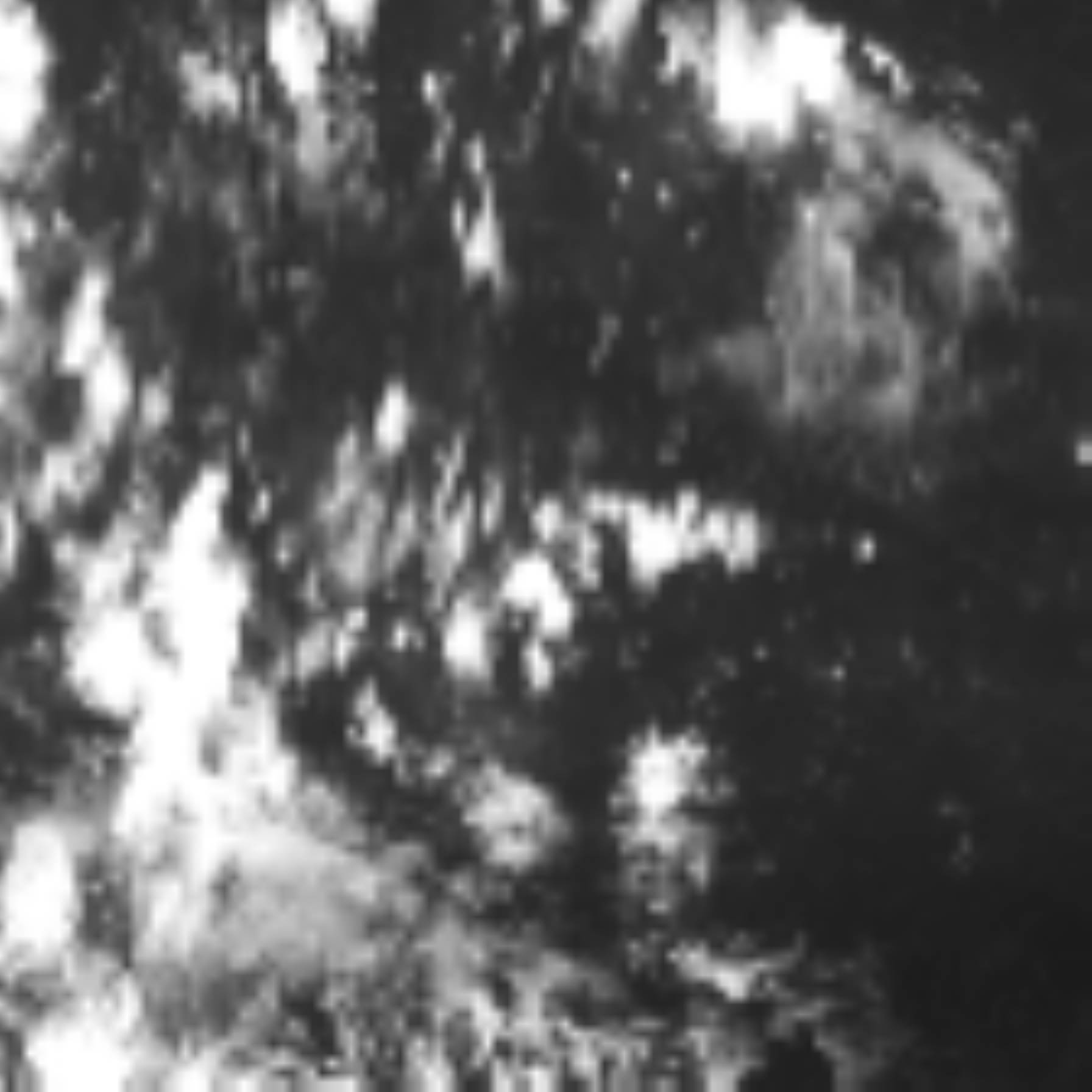 satLayer