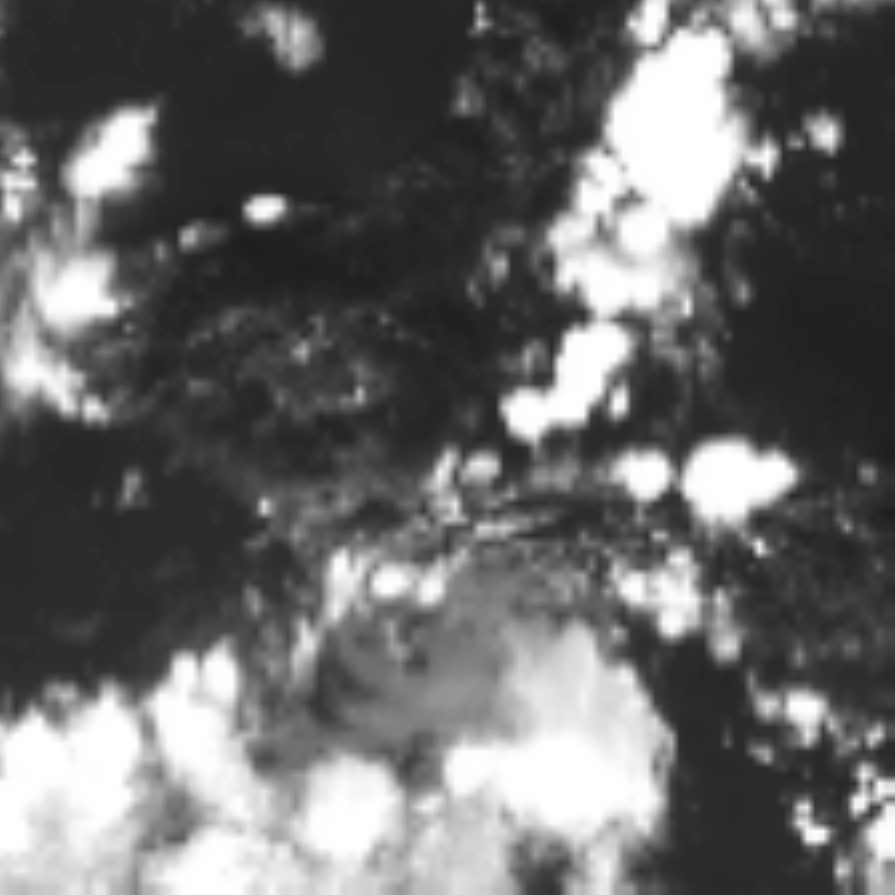 satLayer