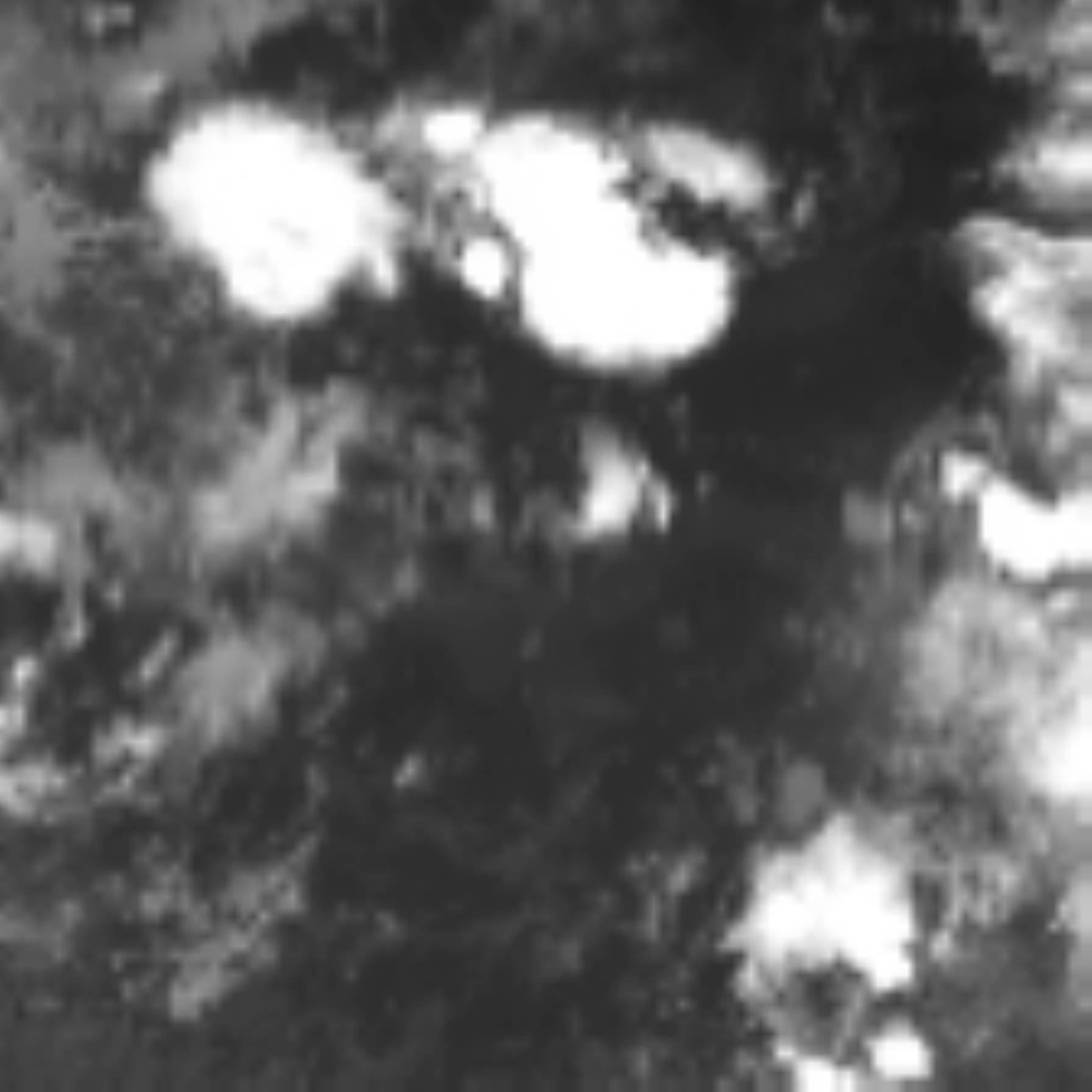 satLayer