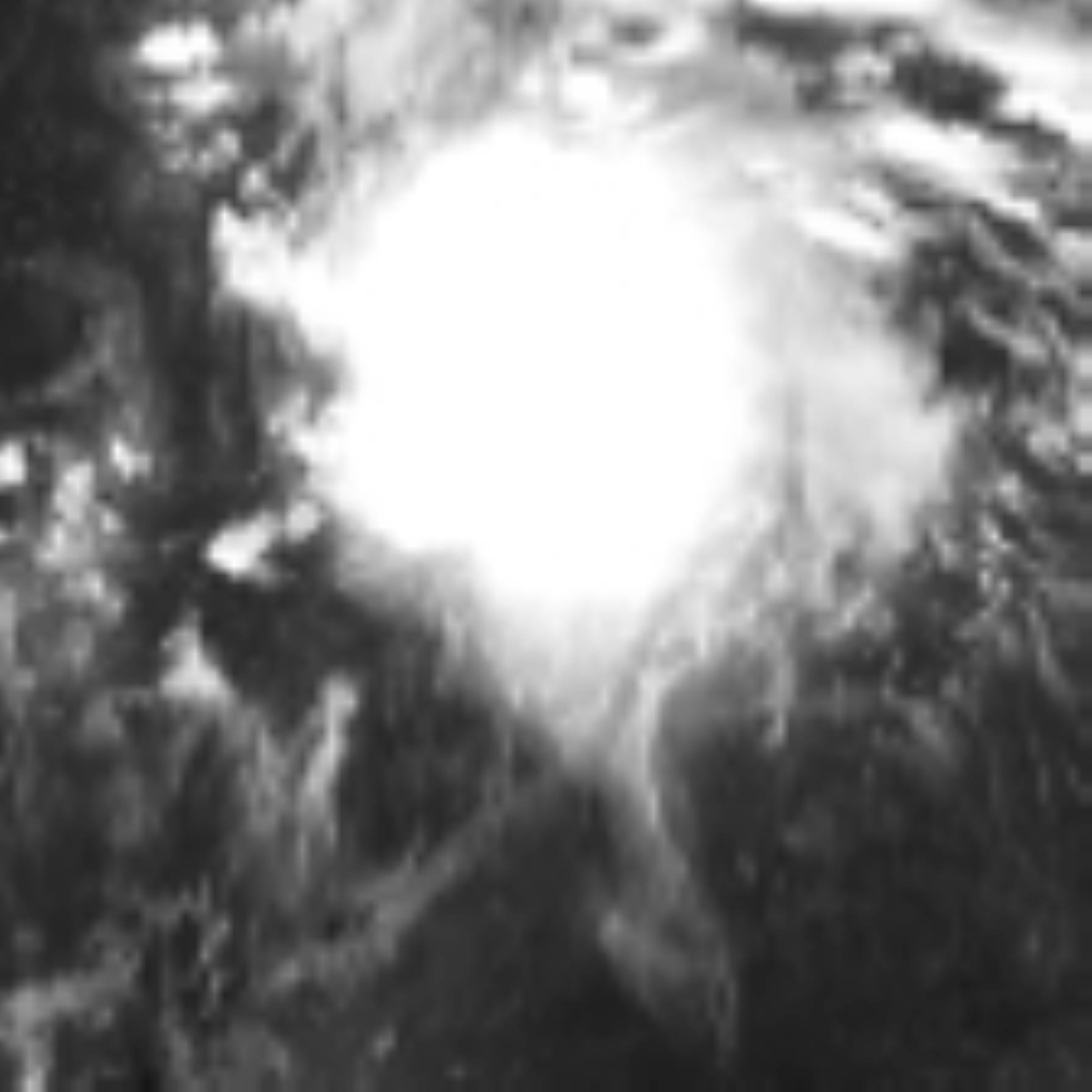 satLayer