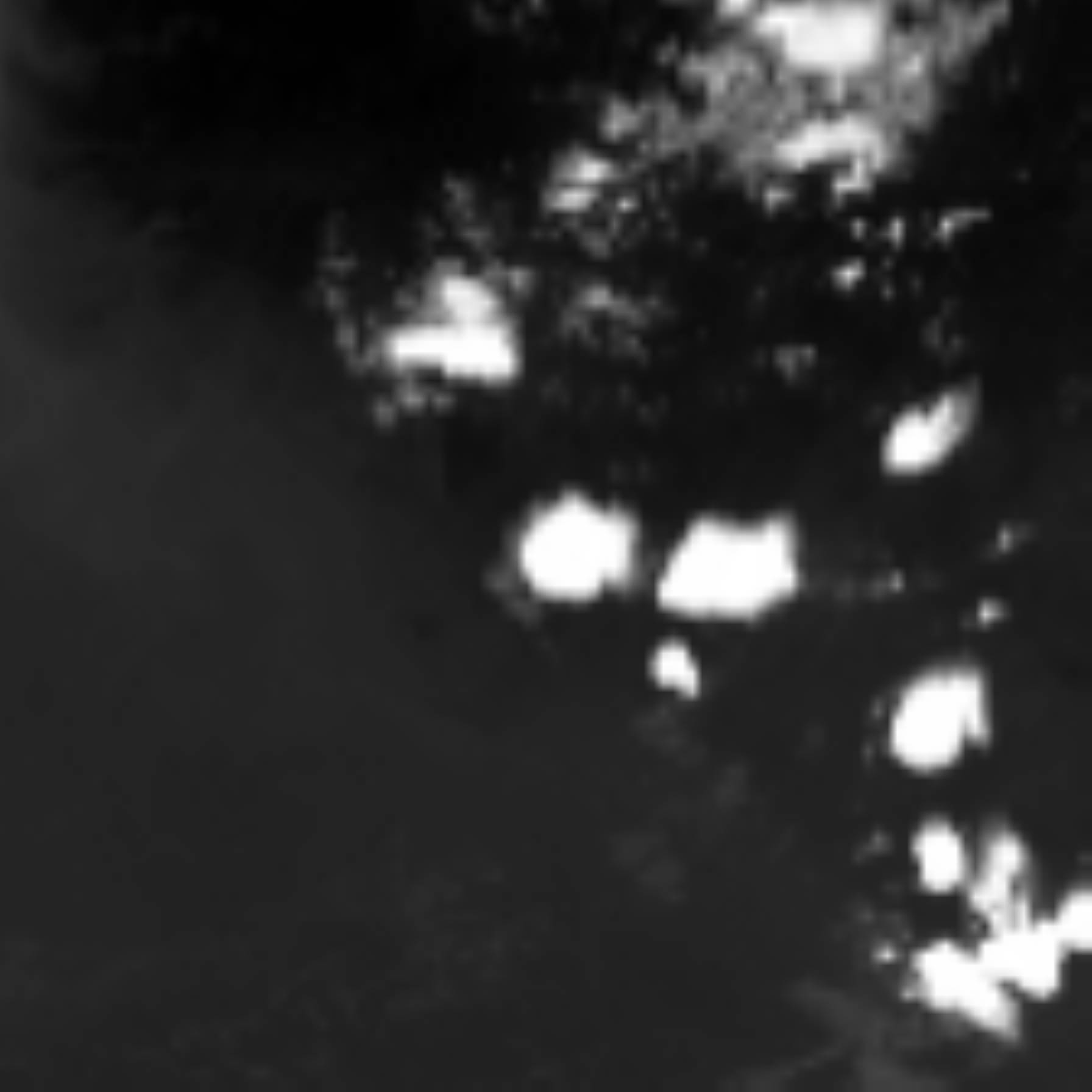 satLayer