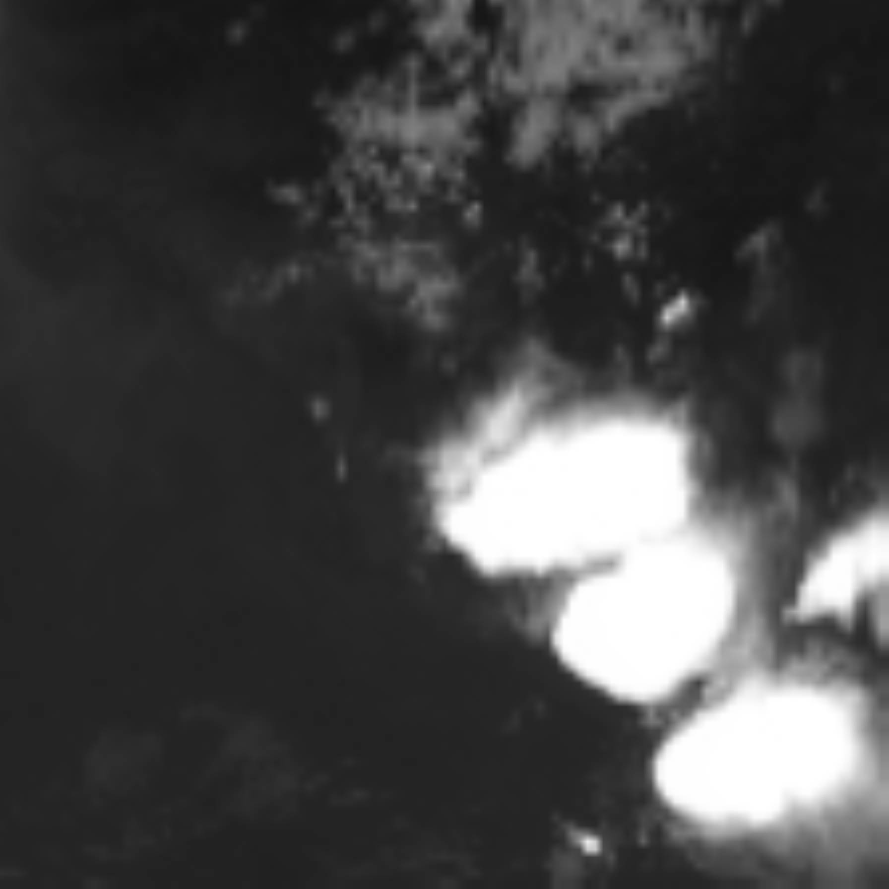 satLayer