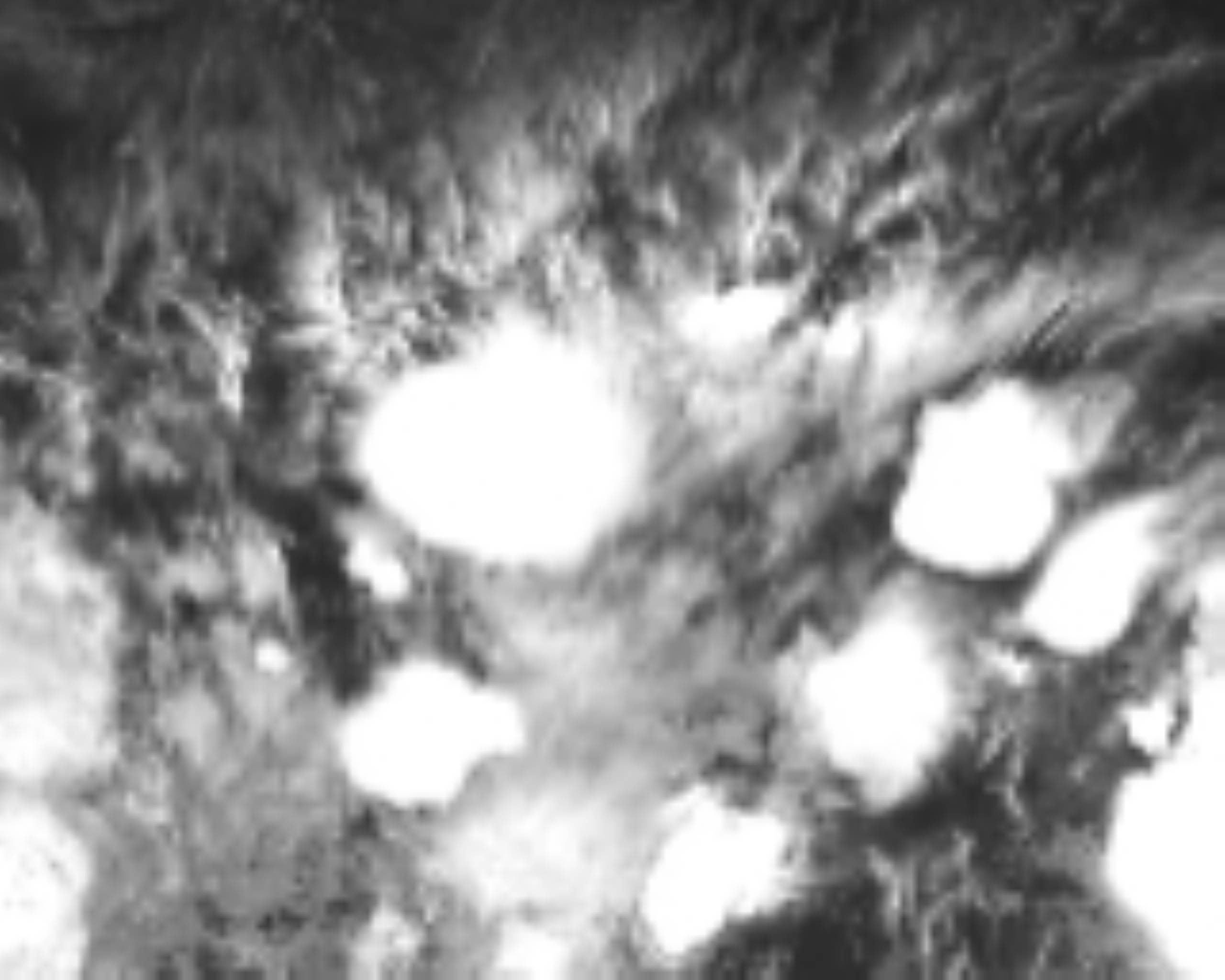 satLayer