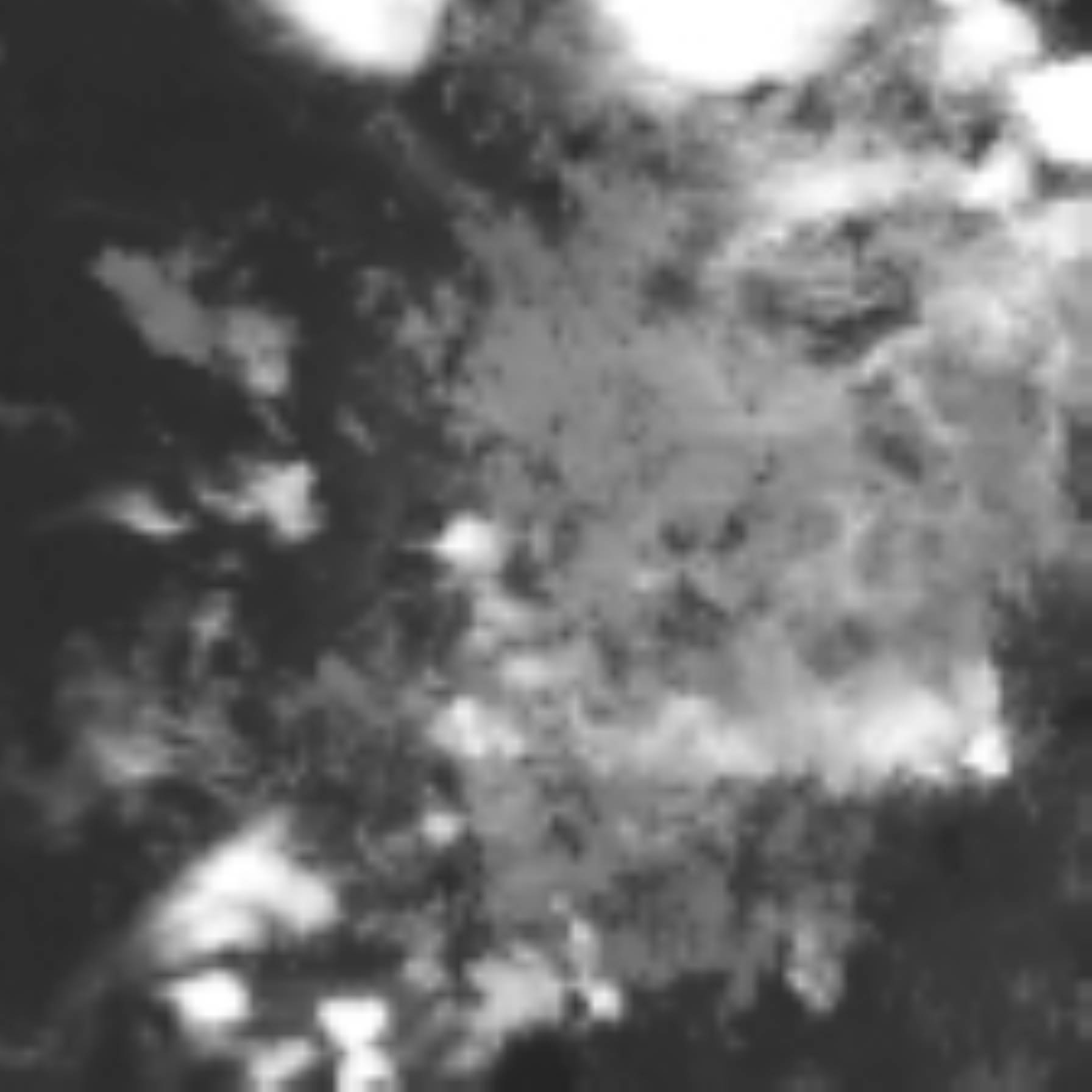 satLayer