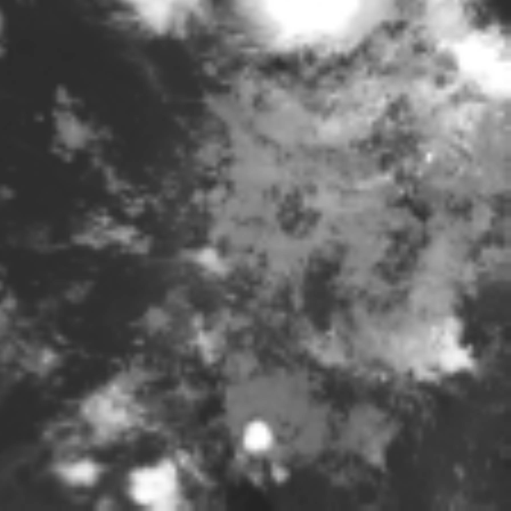 satLayer