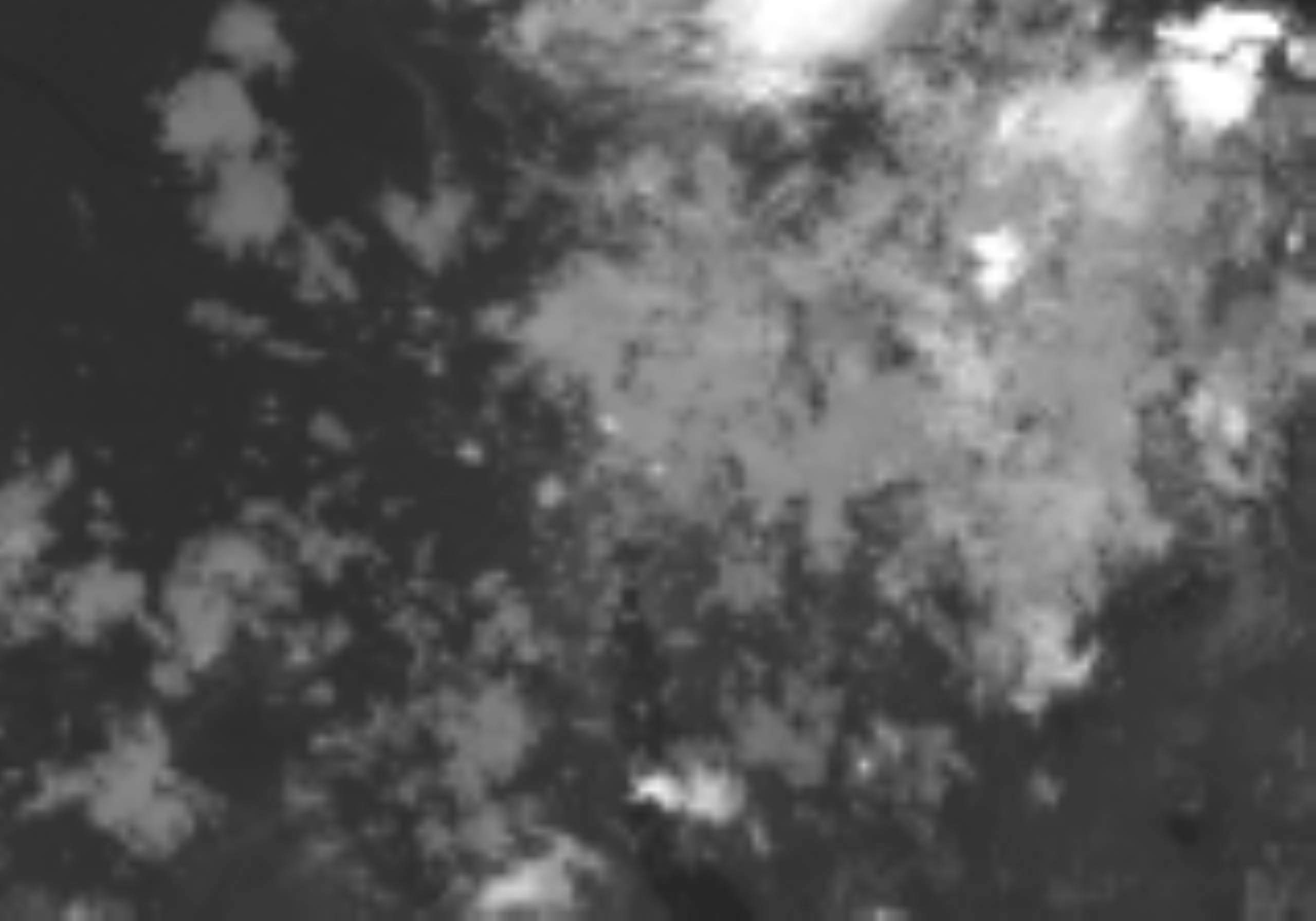 satLayer