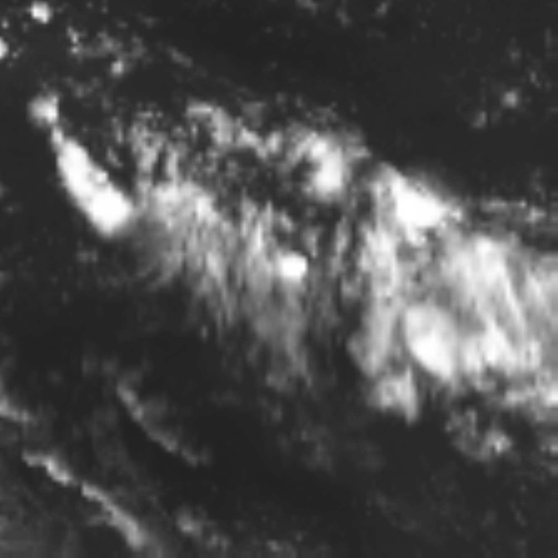 satLayer