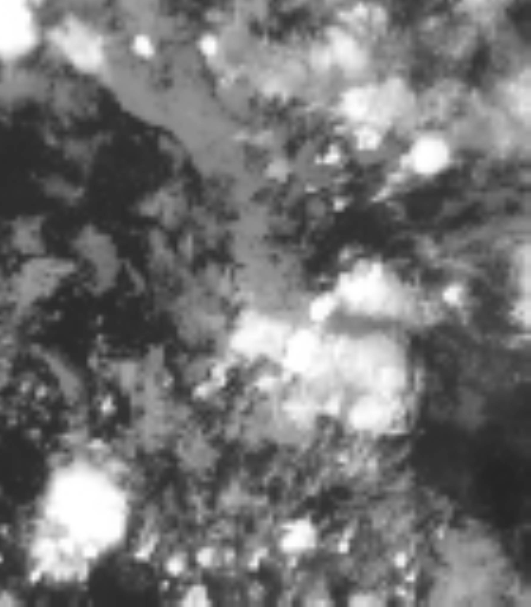 satLayer