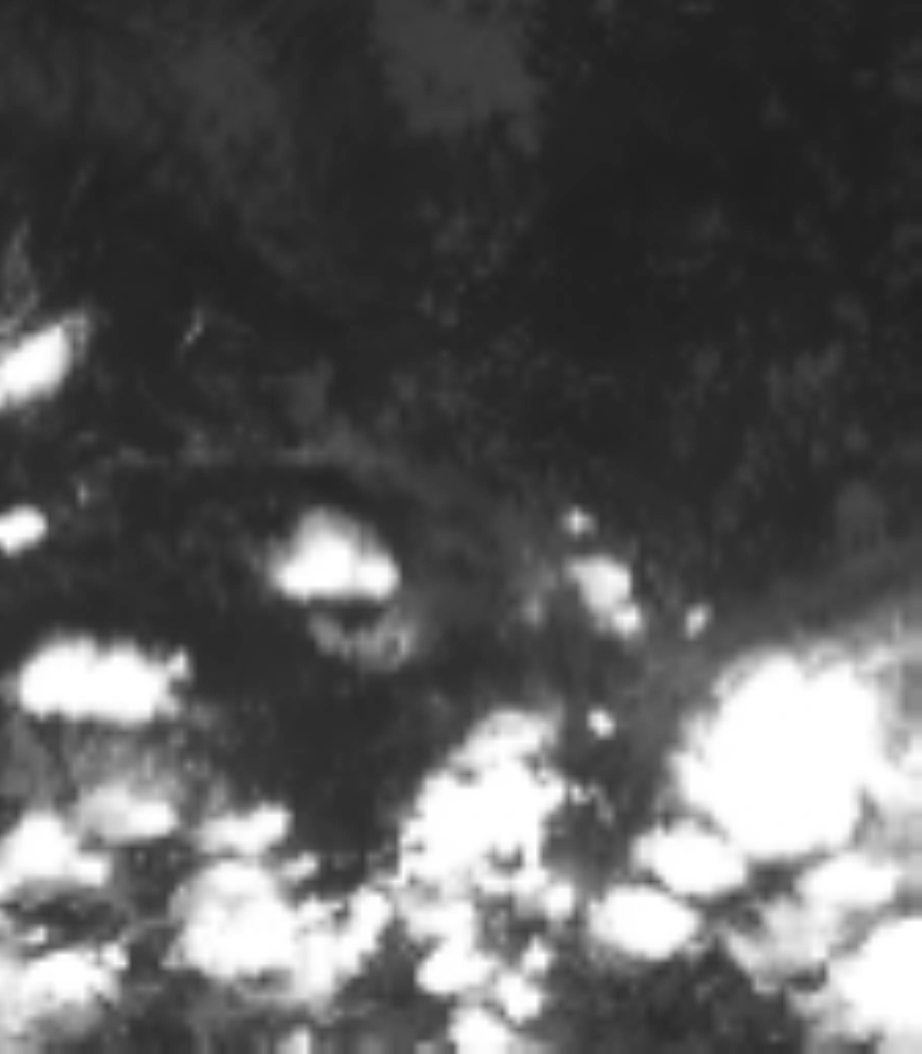 satLayer