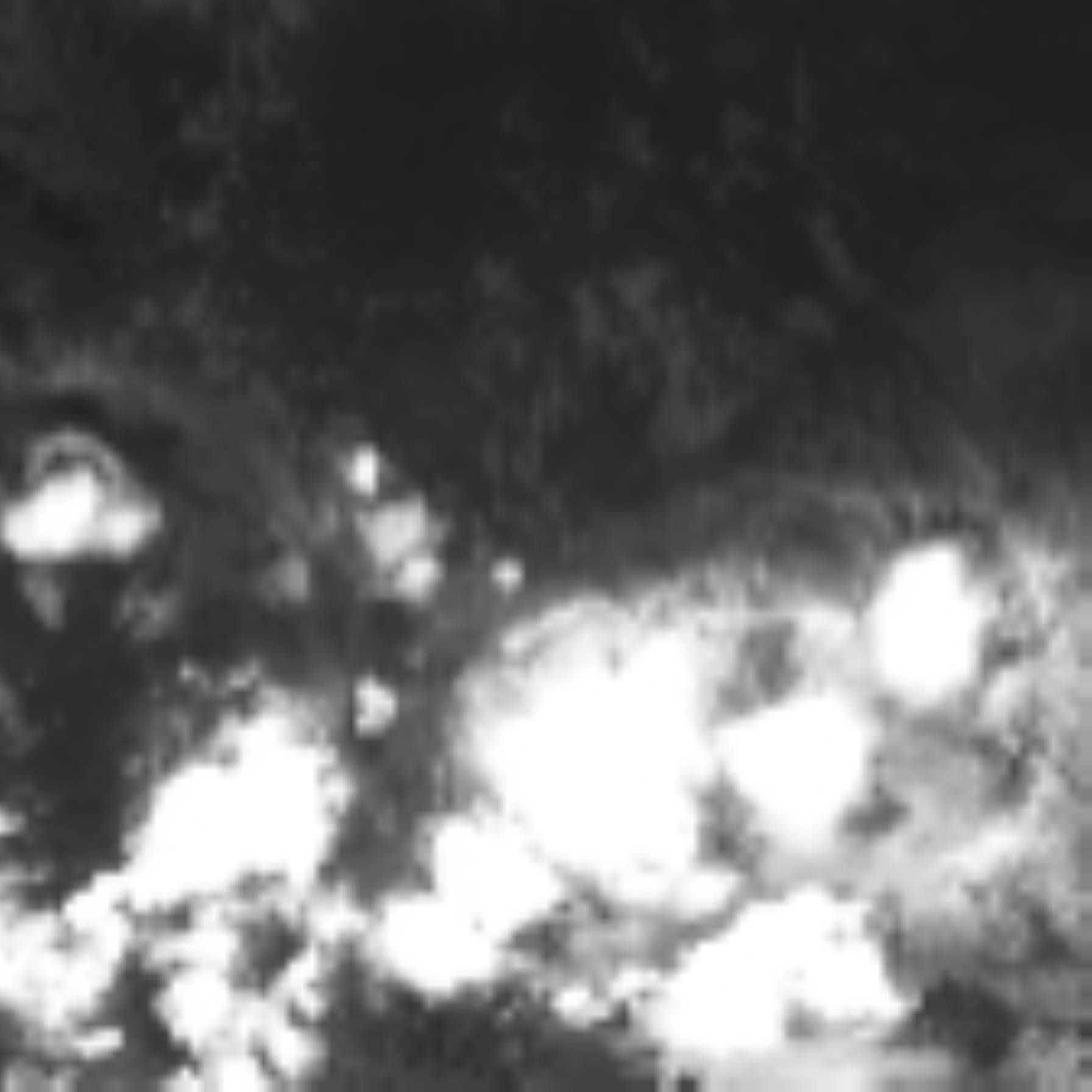 satLayer